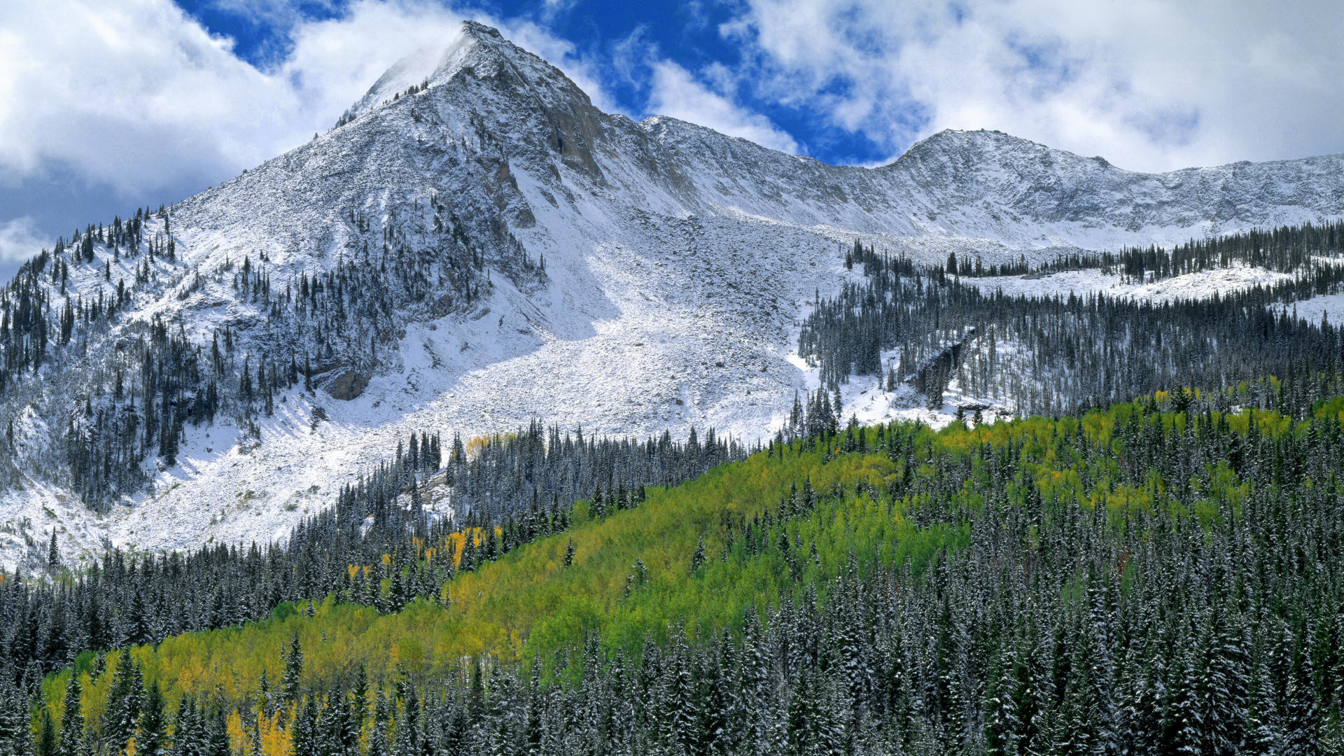 1920x1080, Colorado Snowy Landscape Wallpaper 
 Data - Mountain Or Alpine Forest - HD Wallpaper 