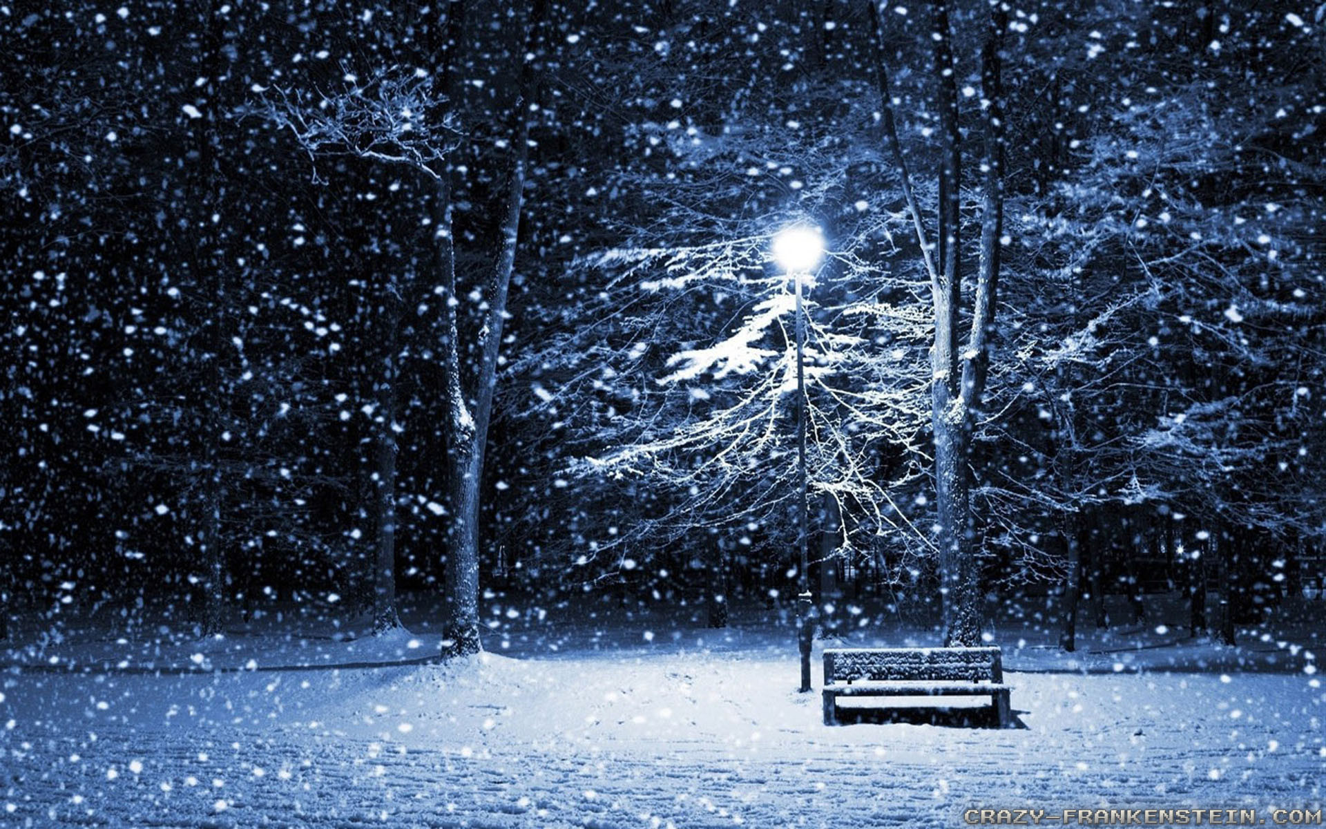 Videos 
 Data Src Download Free Beautiful Winter Wallpapers - Winter Season At Night - HD Wallpaper 
