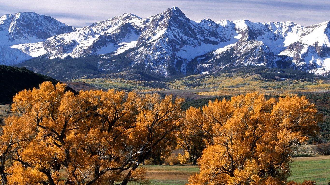 Wallpaper Trees, Autumn, Crones, Yellow, Mountains, - San Juan Mountains Colorado Background - HD Wallpaper 
