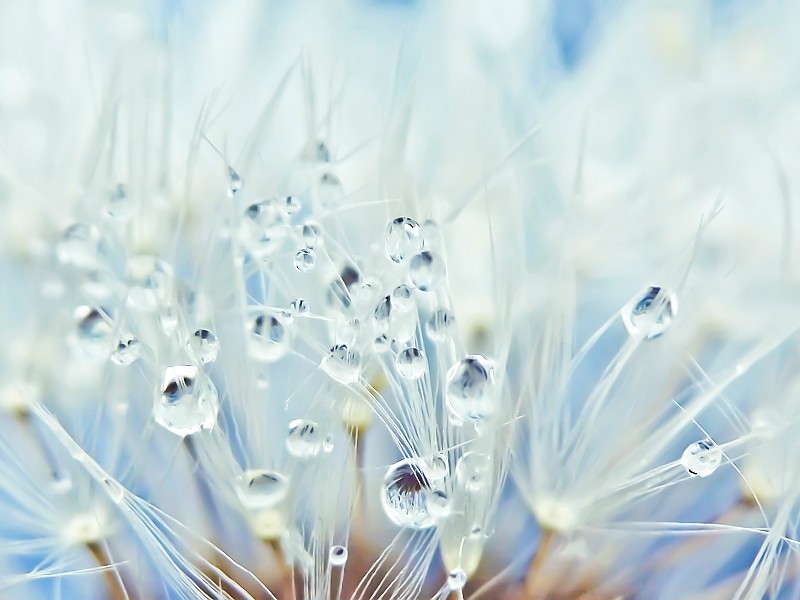 Beautiful Winter Wallpapers Download - HD Wallpaper 