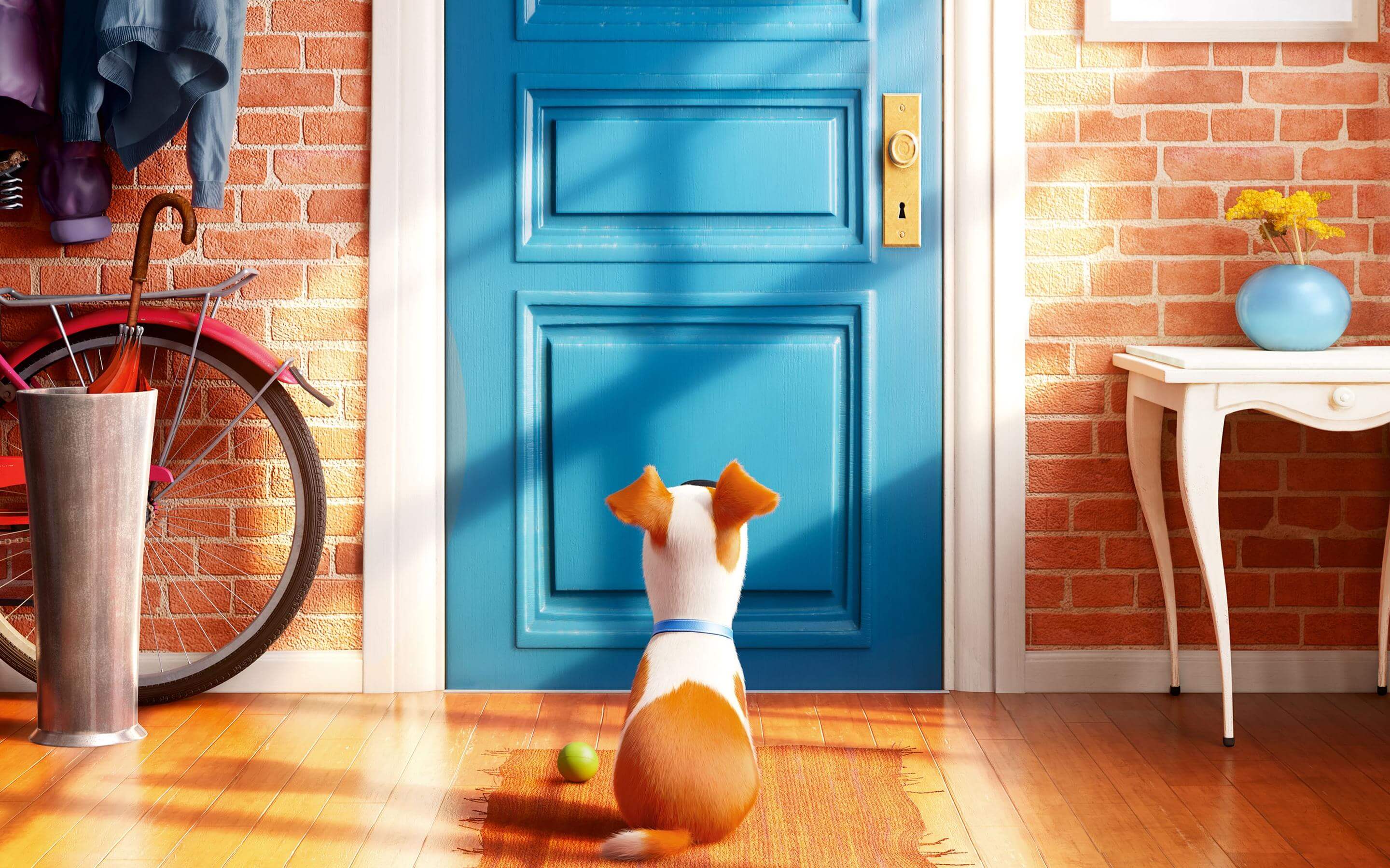 Secret Life Of Pets Waiting - HD Wallpaper 