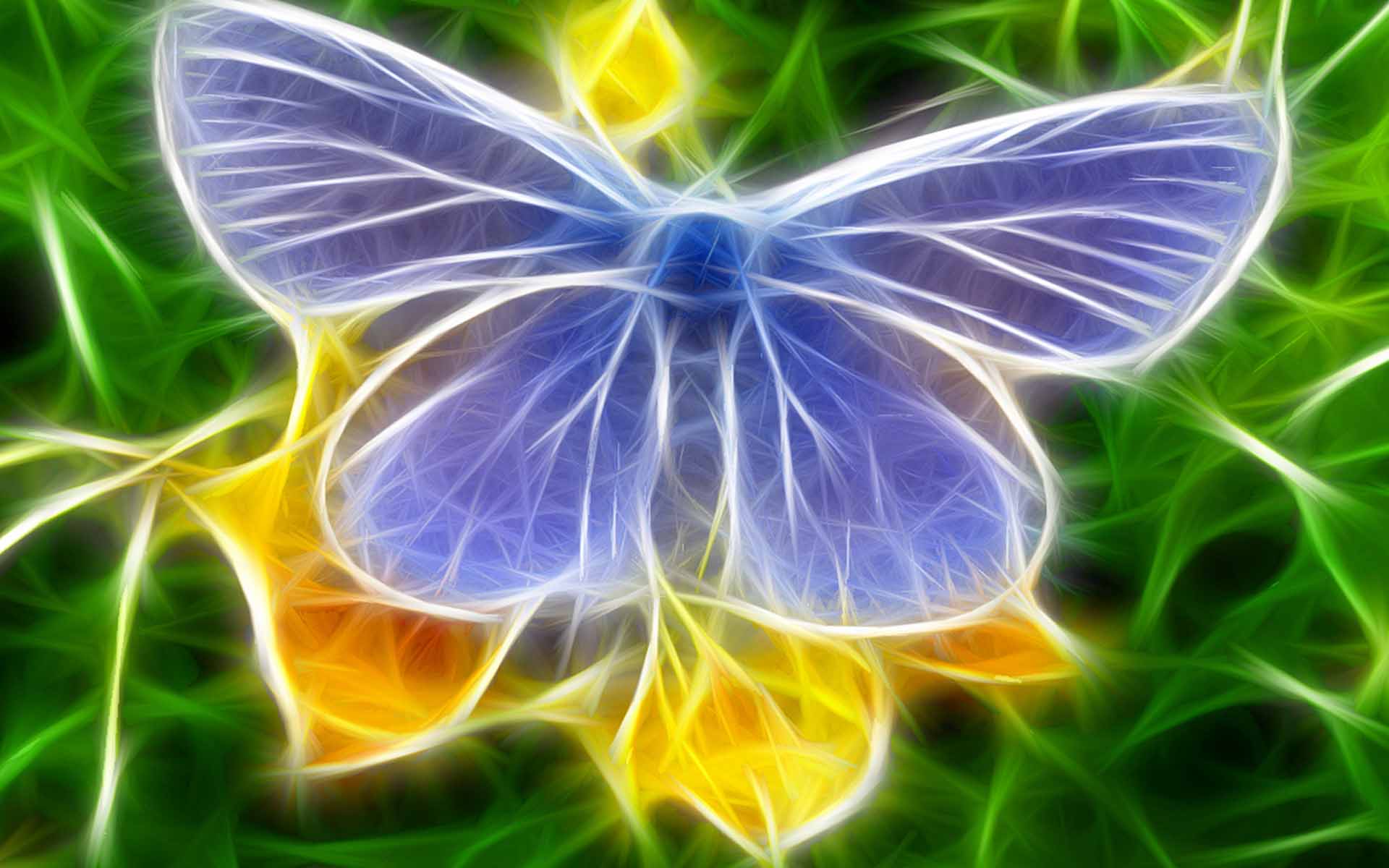 3d Butterfly Awesome Hq Images - 3d Wallpaper Computer - HD Wallpaper 