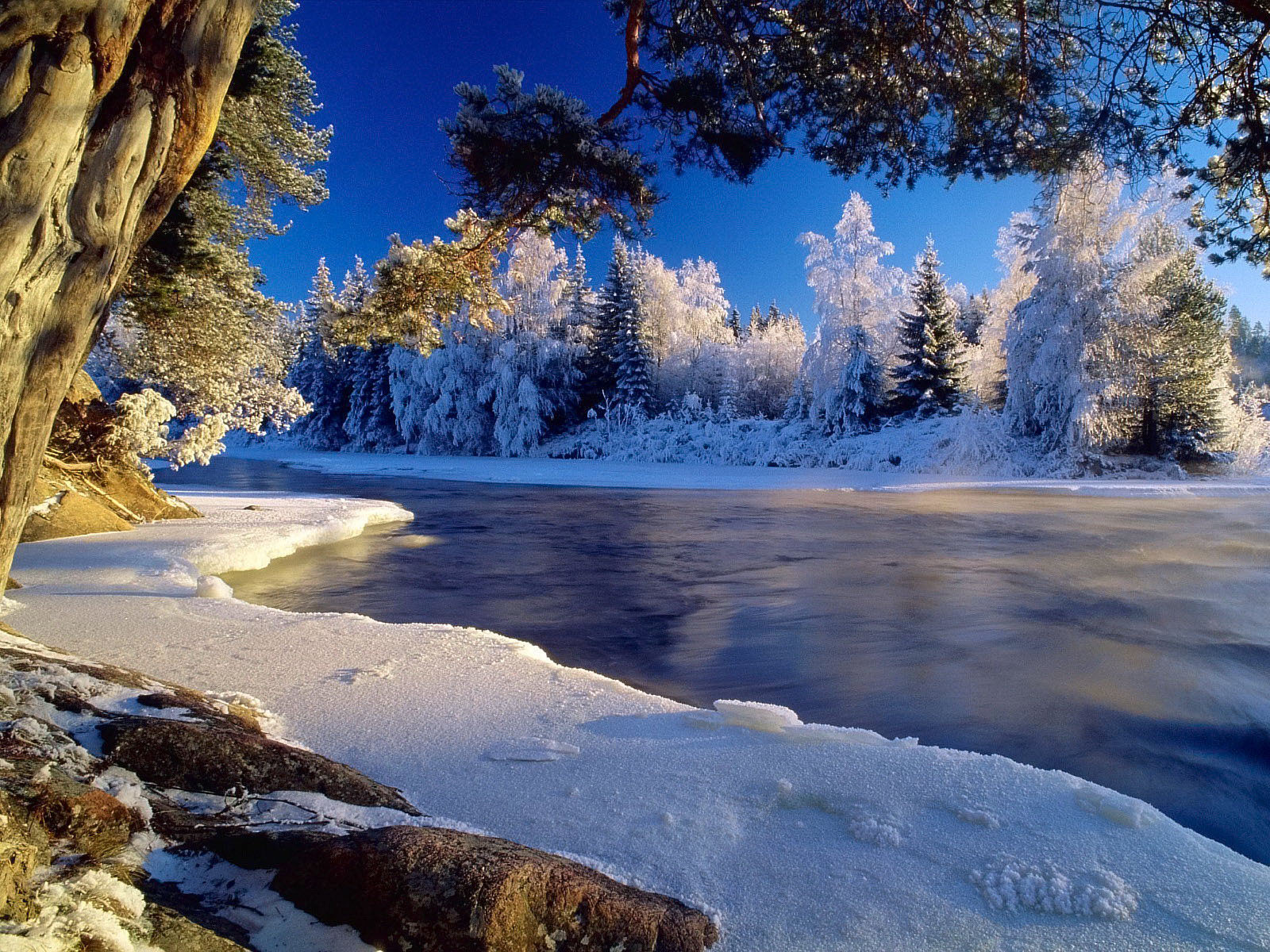 Beautiful Hd Winter Wallpapers - Best Pics Ever Nature - HD Wallpaper 