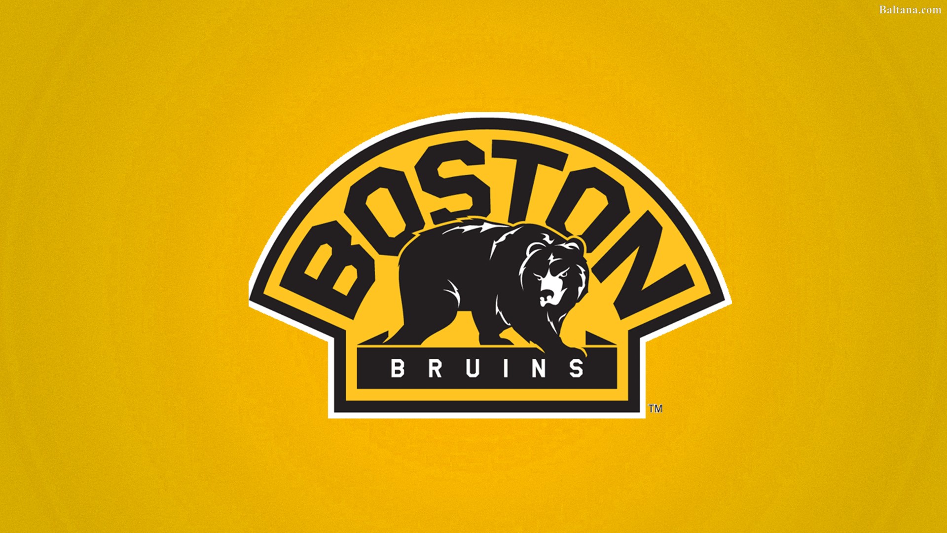 Boston Bruins Wallpaper Boston Bruins 1920x1080 Wallpaper teahub.io
