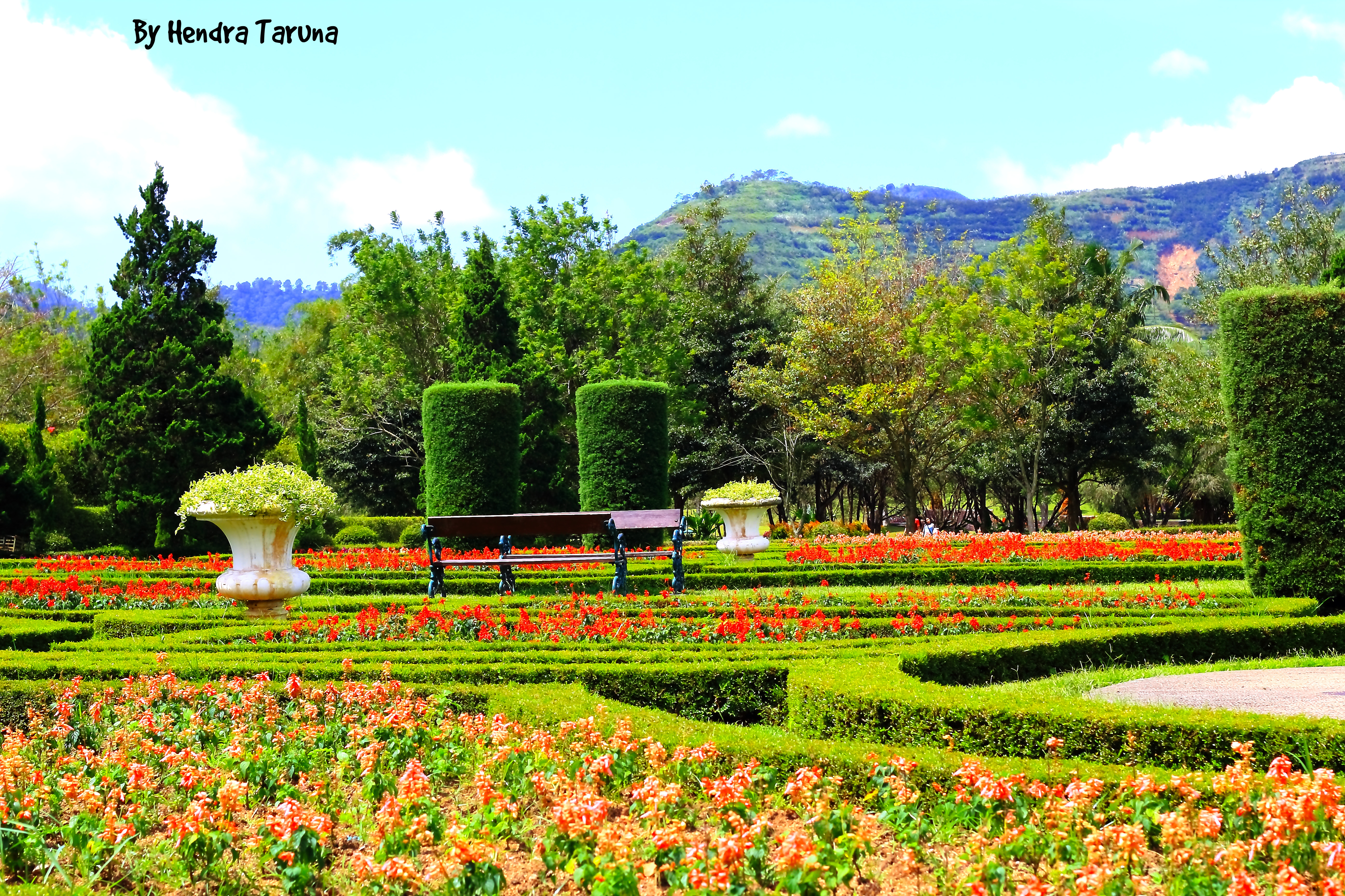 Taman Bunga Bogor - HD Wallpaper 