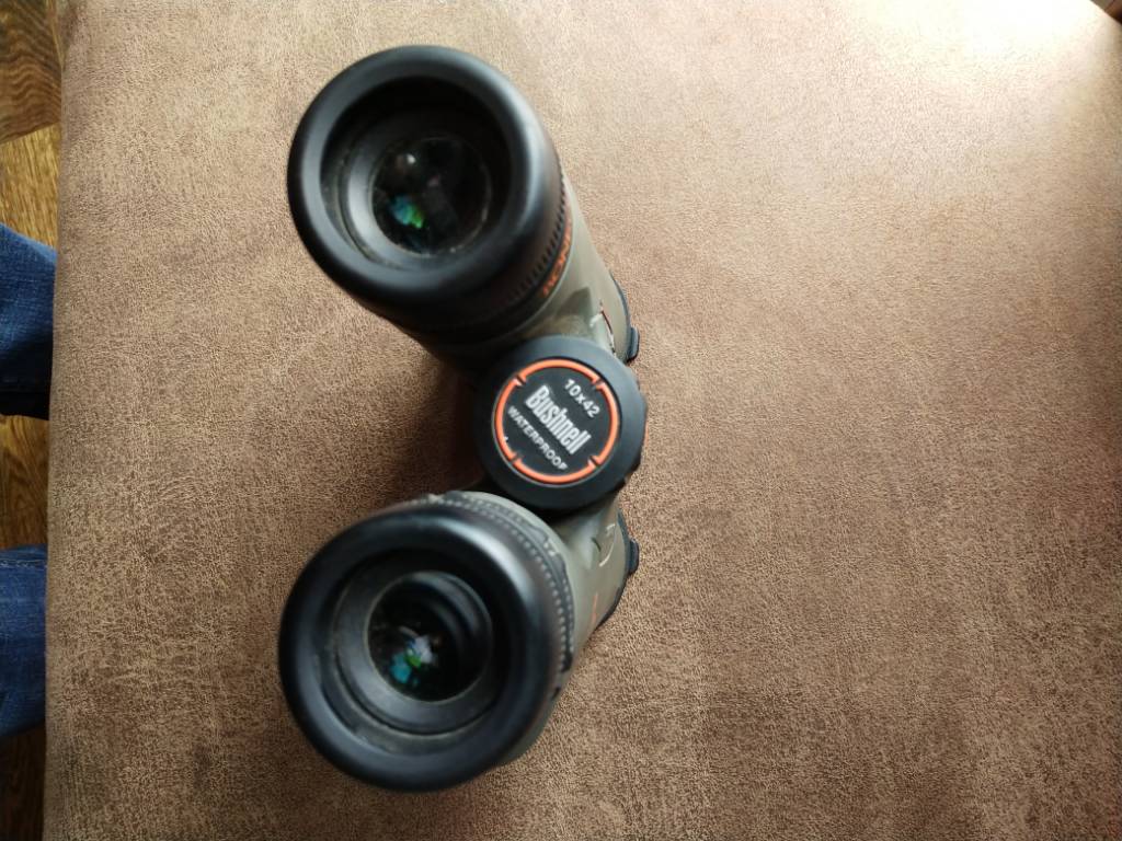 Bone Collector Wallpaper - HD Wallpaper 