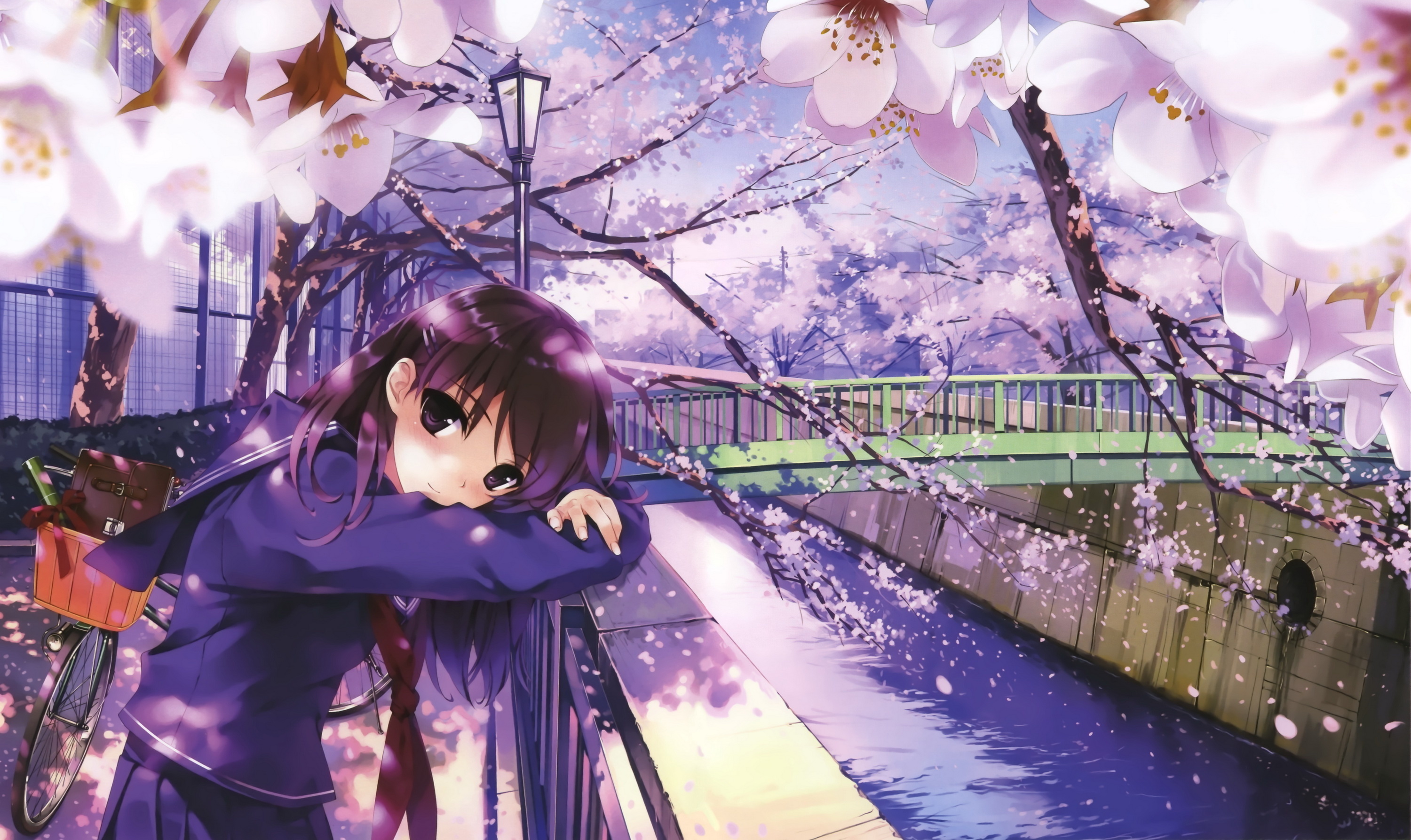 Anime Girl Under Cherry Blossom Tree - 3000x1787 Wallpaper 