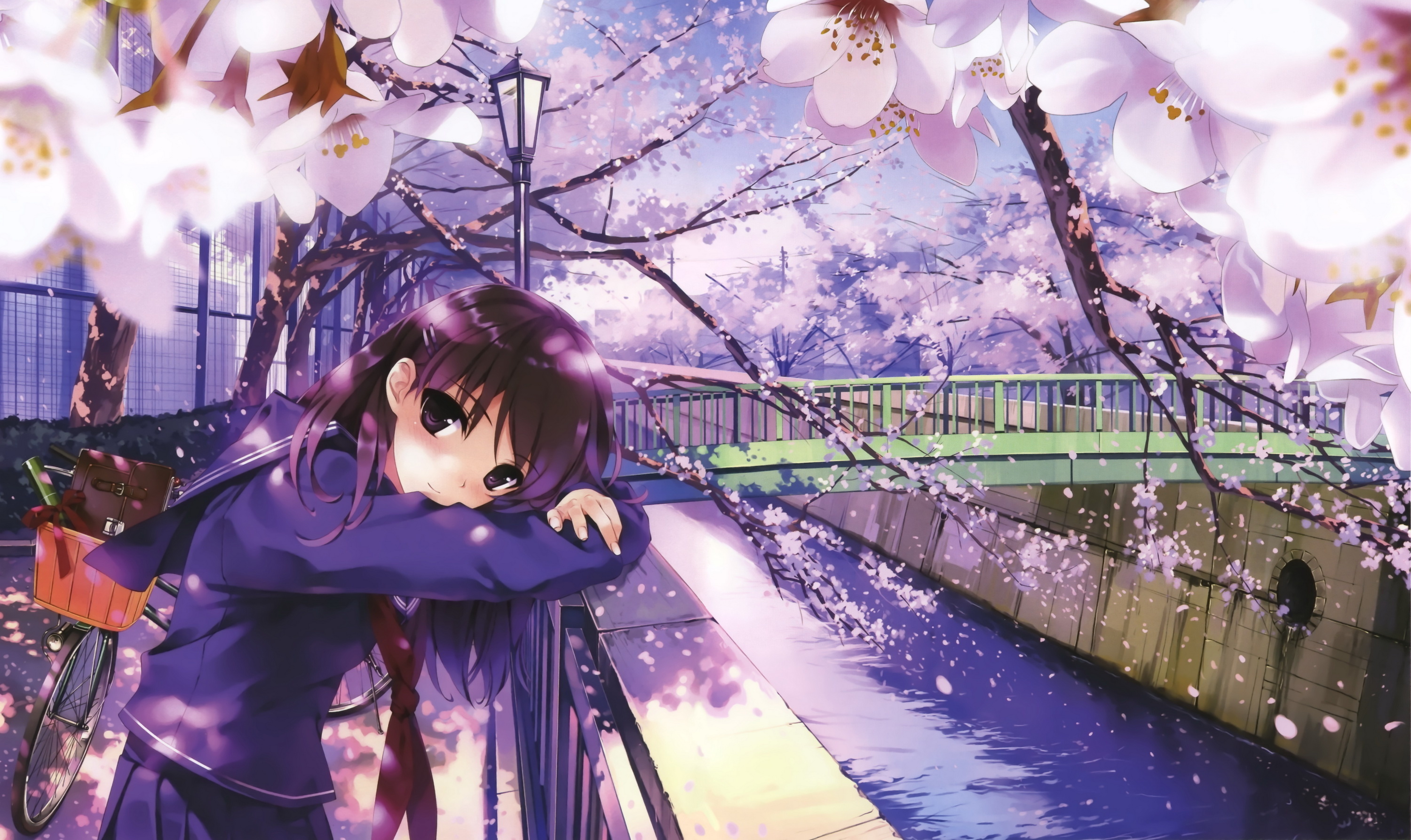 Anime Girl Under Cherry Blossom Tree - HD Wallpaper 