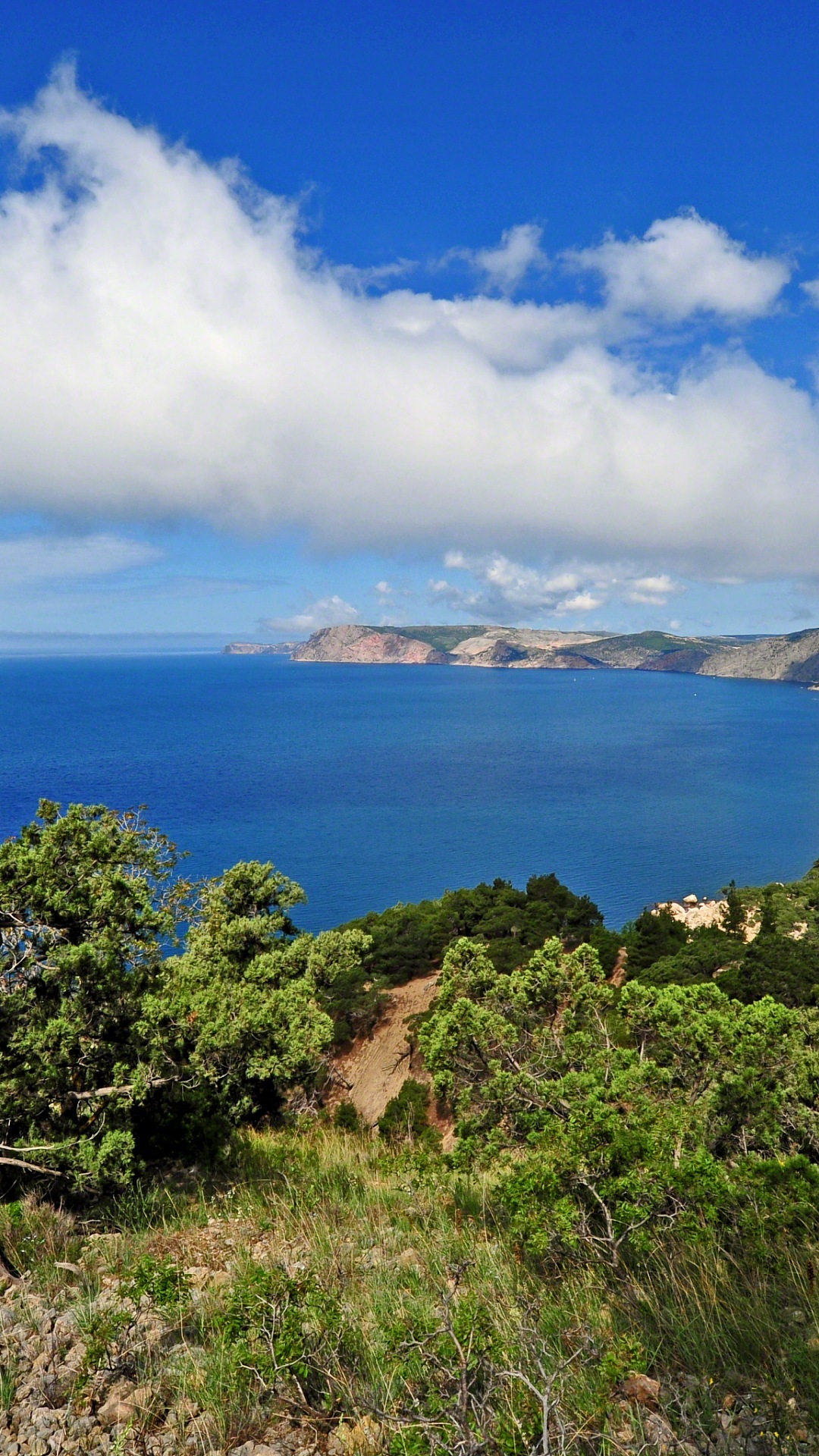 Gambar Cantik Dan Kertas Dinding - Imagini De Fond Pentru Telefon - HD Wallpaper 