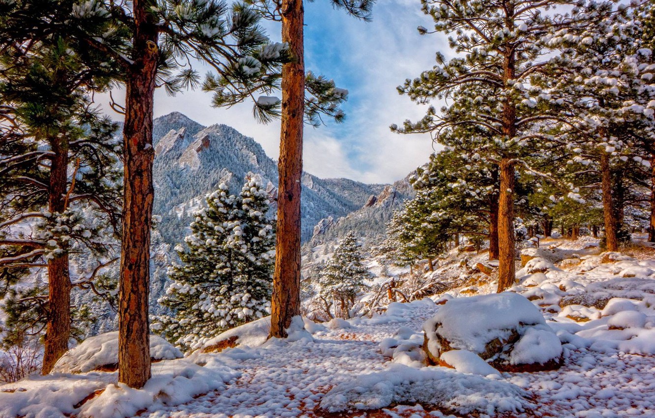 Photo Wallpaper Winter, Snow, Trees, Mountains, Colorado, - Winter Rocky Mountains - HD Wallpaper 