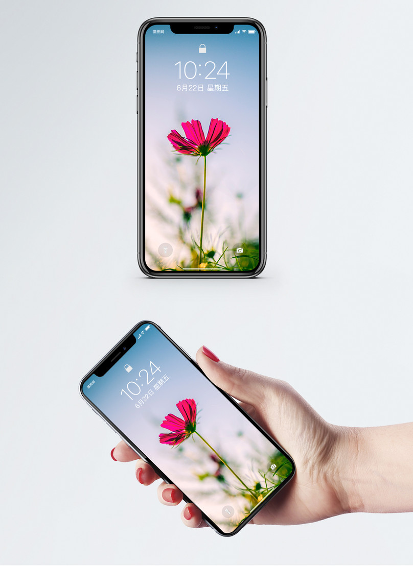 Wallpaper Ponsel Bunga Liar Yang Indah - Hình Nền Điện Thoại Mau Vàng - HD Wallpaper 