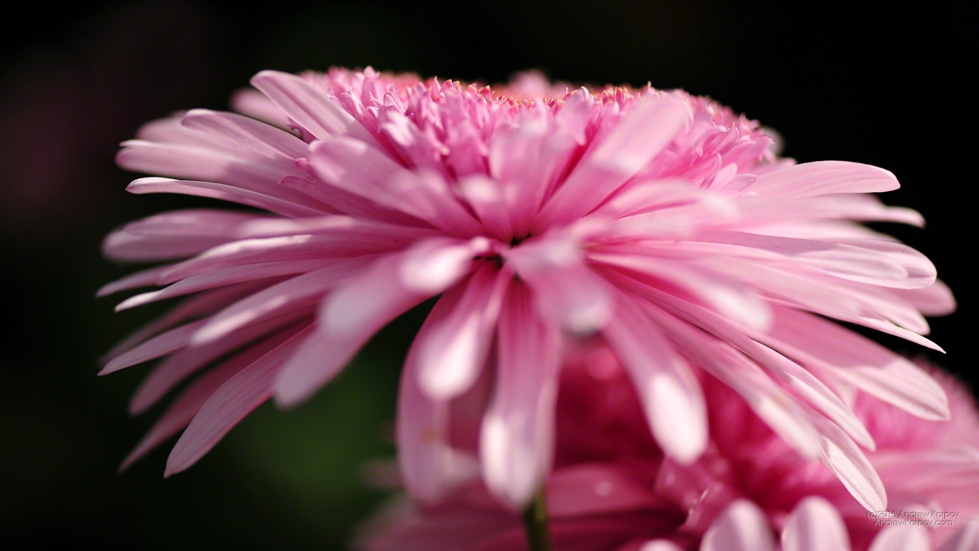 Iphone 6s Plus - Wallpaper - HD Wallpaper 