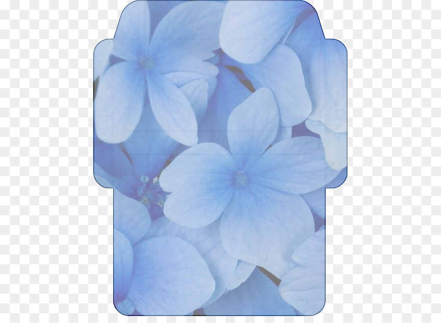 Bunga, Desktop Wallpaper, Gambar Gambar Png - HD Wallpaper 