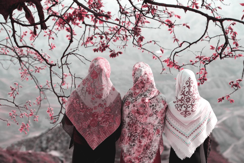 Cherry Blossoms In Iran - HD Wallpaper 