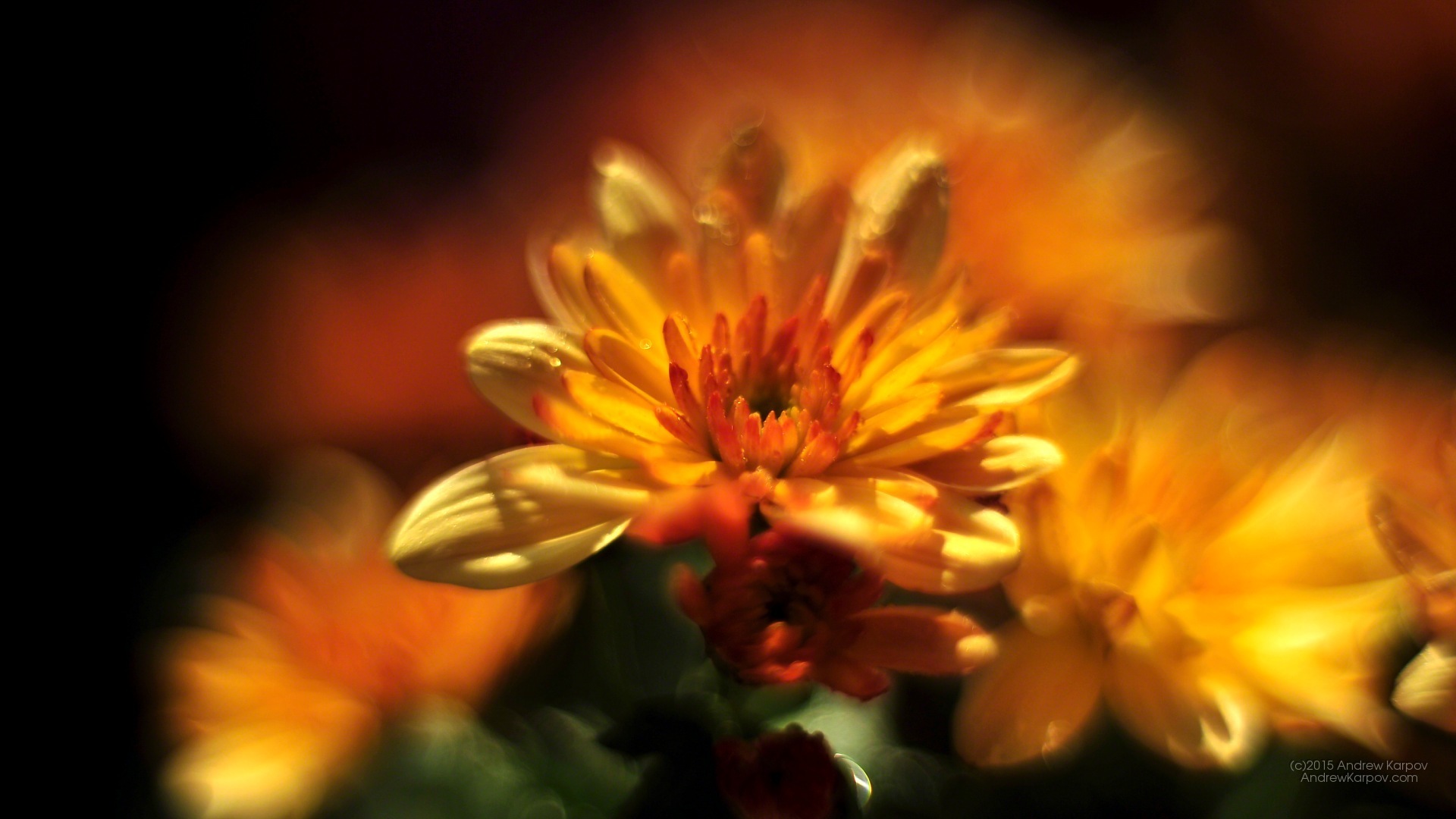 Iphone 6s Plus - Mobile Phone - HD Wallpaper 