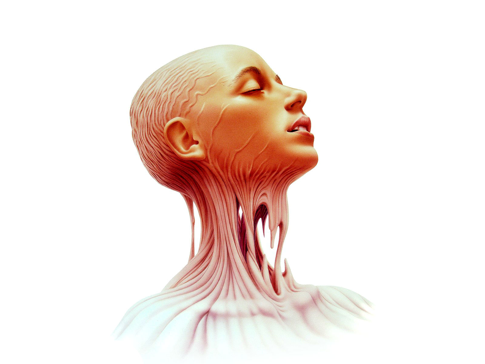 Human Anatomy Hd - HD Wallpaper 