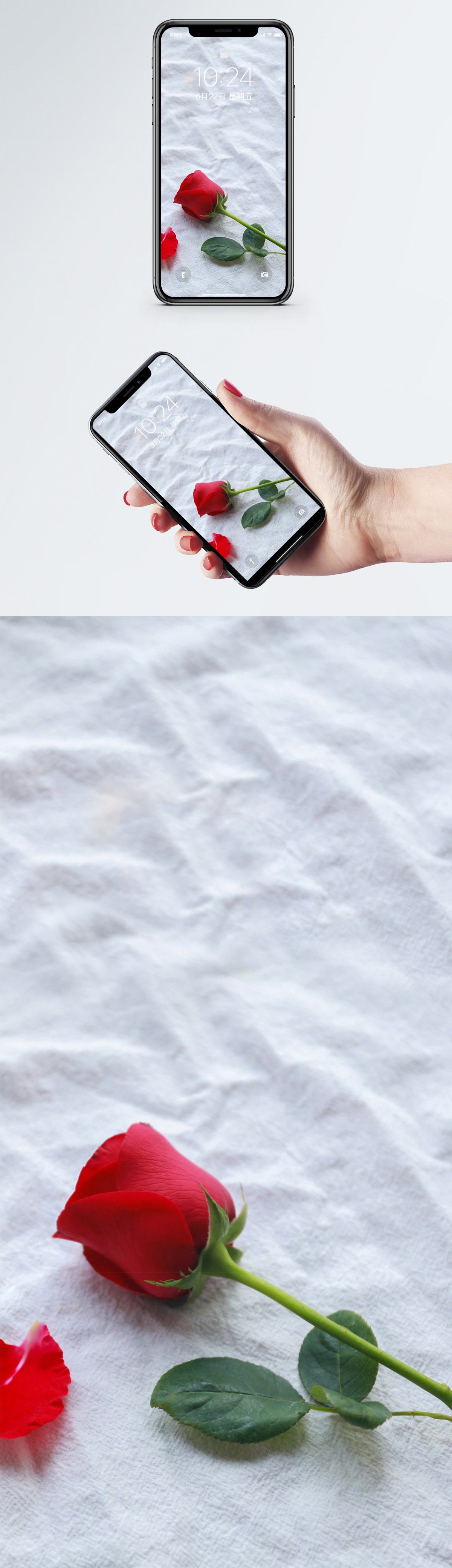 Wallpaper Ponsel Mawar Foto - Garden Roses - HD Wallpaper 