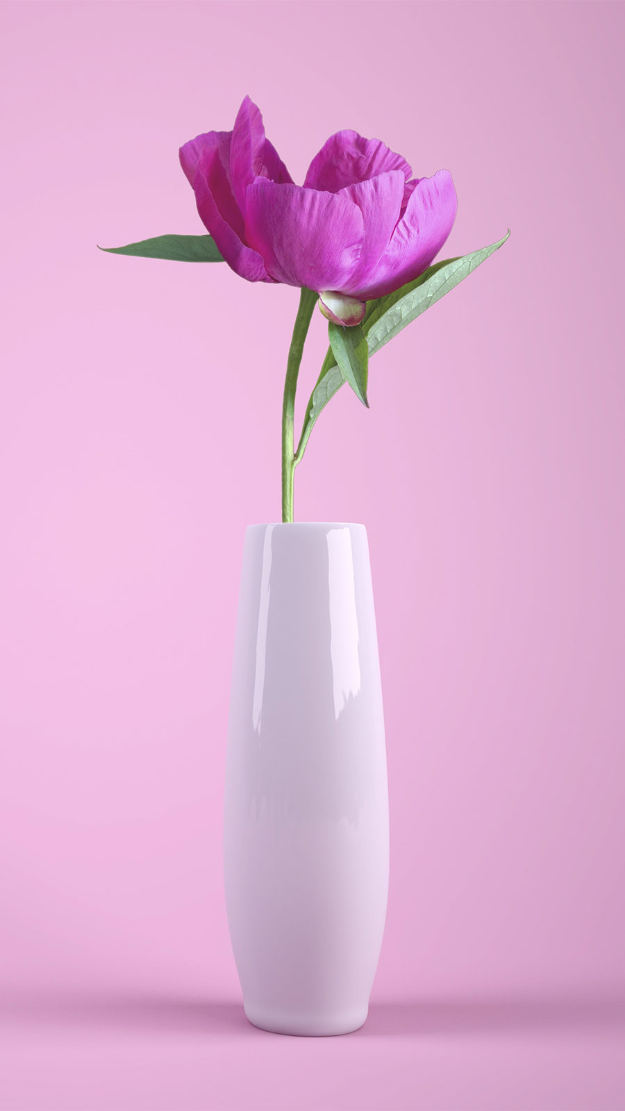 Wallpaper Hd Bunga Flower Warna Pink Di Dalam Vas Mobile - Easier To Love Than Hate Quotes - HD Wallpaper 