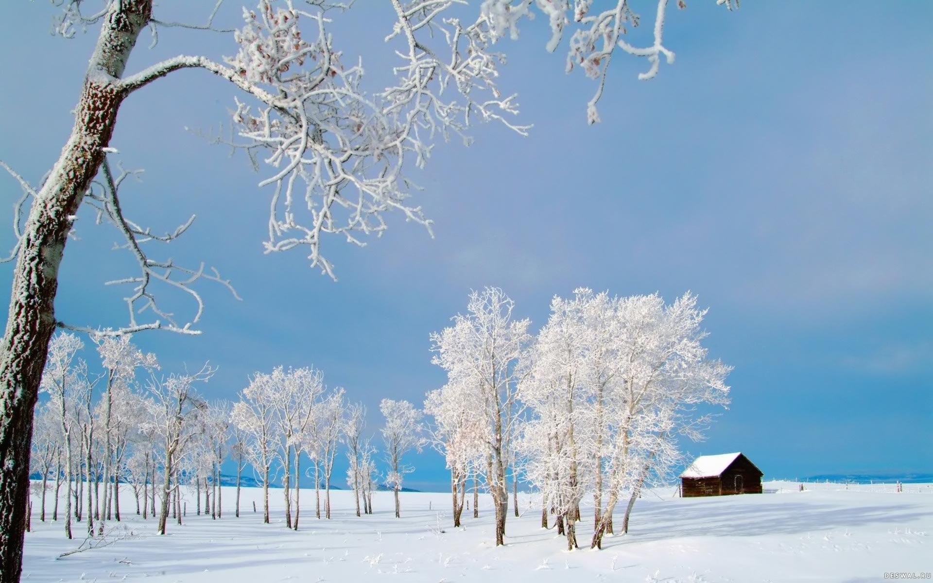 Beautiful Winter Wallpapers - Winter Nature Wallpapers For Desktop - HD Wallpaper 