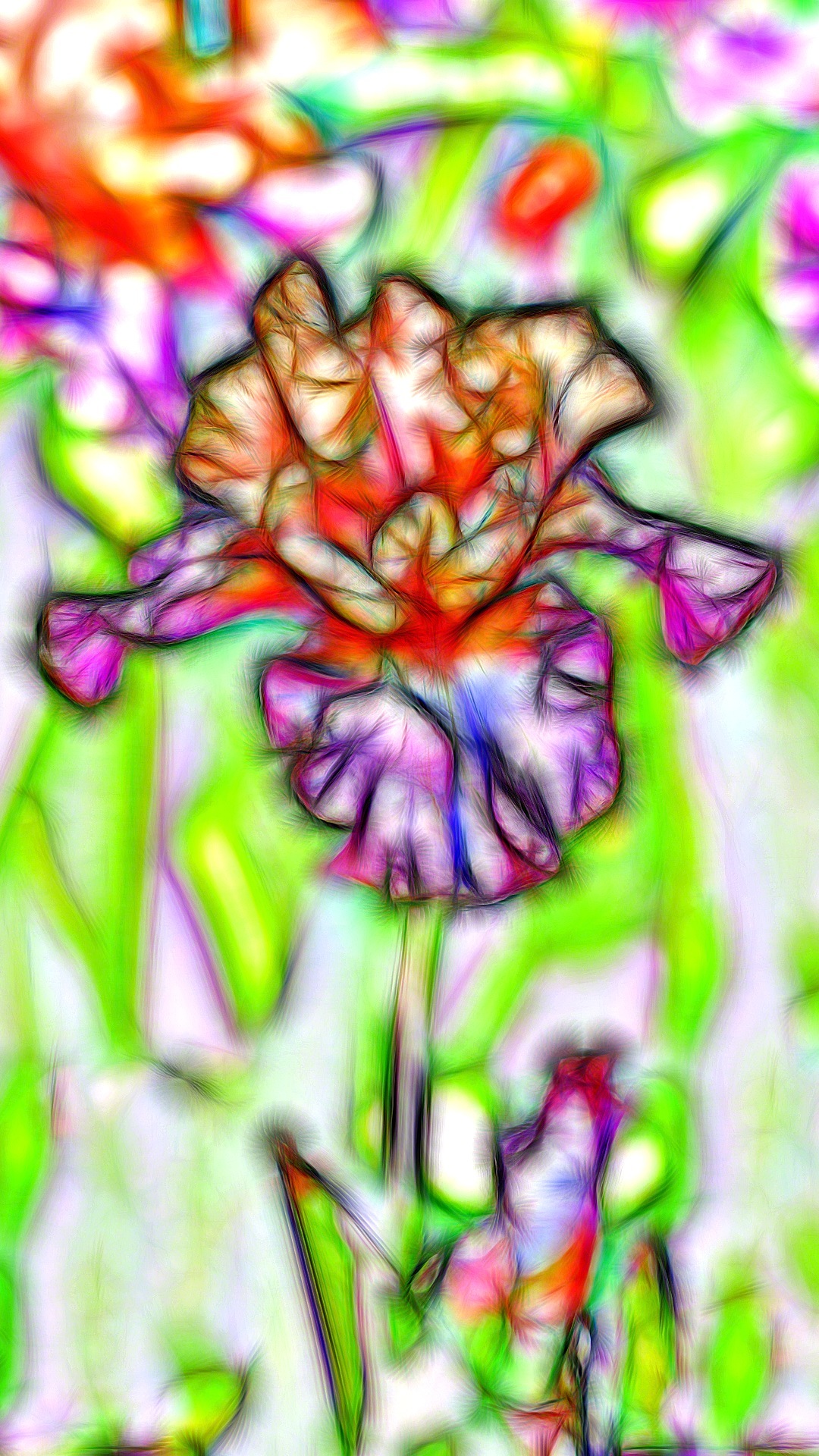 Wallpaper Dan Latar Belakang Gratis - Iris - HD Wallpaper 