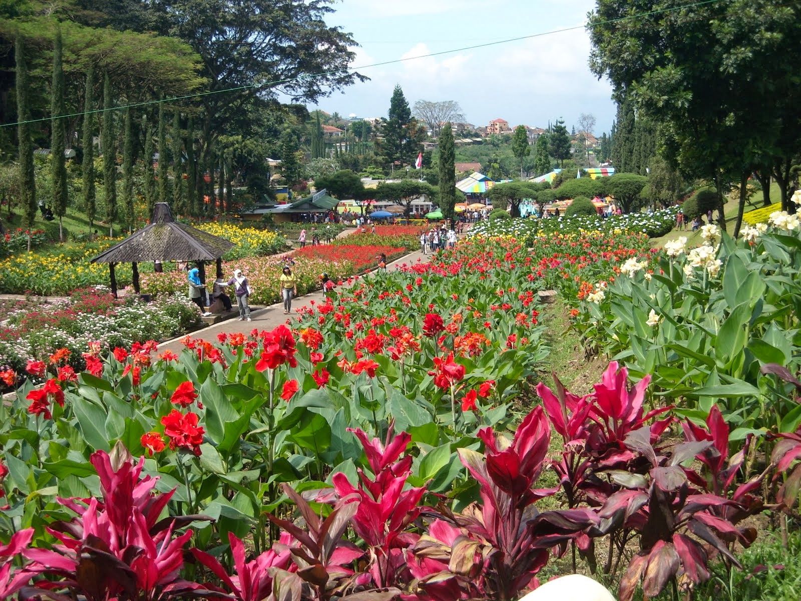 Wisata Hemat, 5 Kebun Bunga Di Bandung Ini Wajib Dikunjungi - Tempat Wisata Di Singkawang - HD Wallpaper 