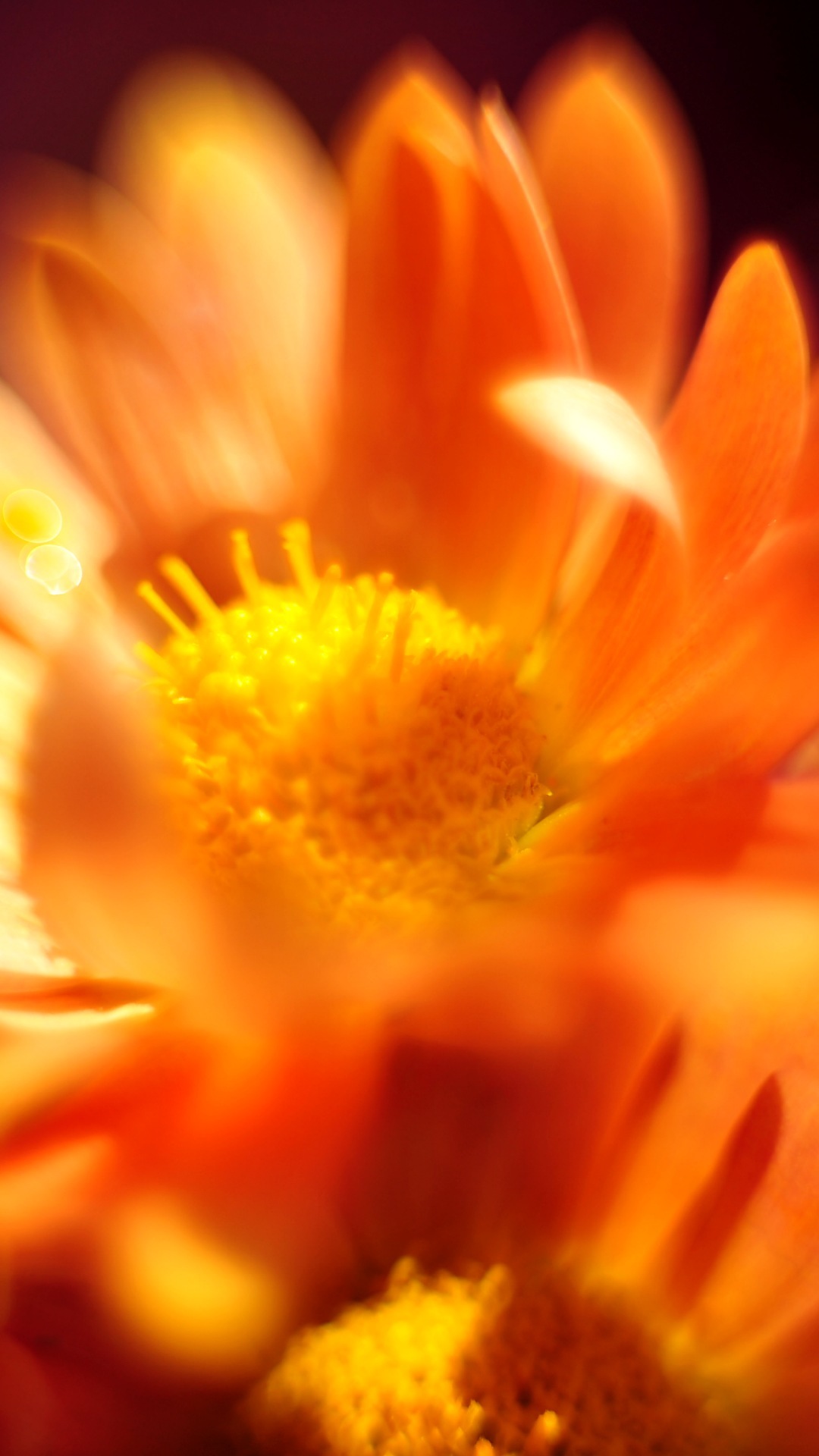 Muat Turun Kertas Dinding Desktop - Työpöytä Taustakuvat - HD Wallpaper 