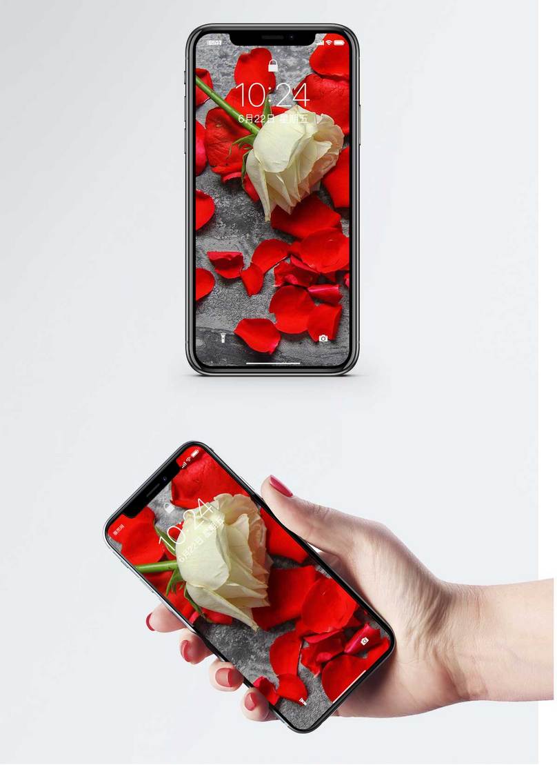 Wallpaper Ponsel Mawar - Hình Nền Hoa Hồng - HD Wallpaper 