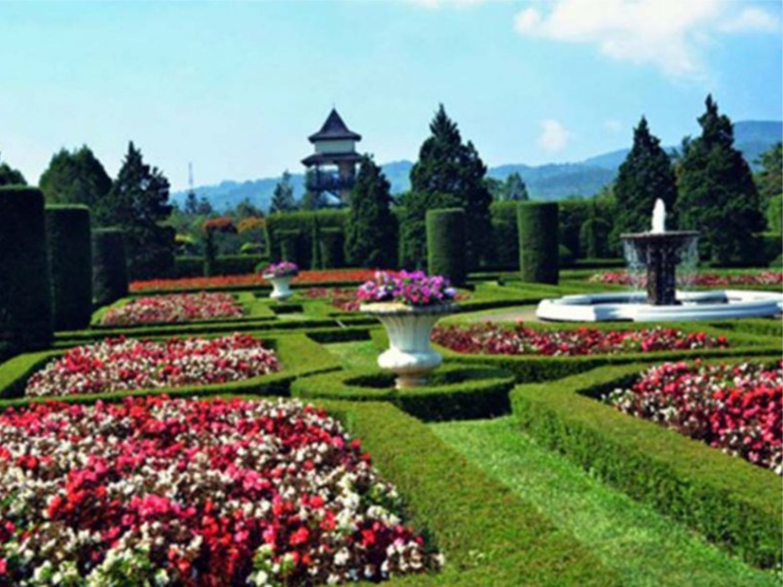 Taman Bunga Nusantara Nan Eksotis - Tempat Wisata Di Kota Bandung - HD Wallpaper 