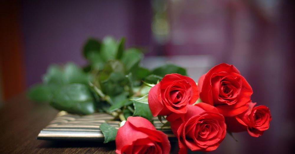 New Red Rose Wallpaper Hd - HD Wallpaper 