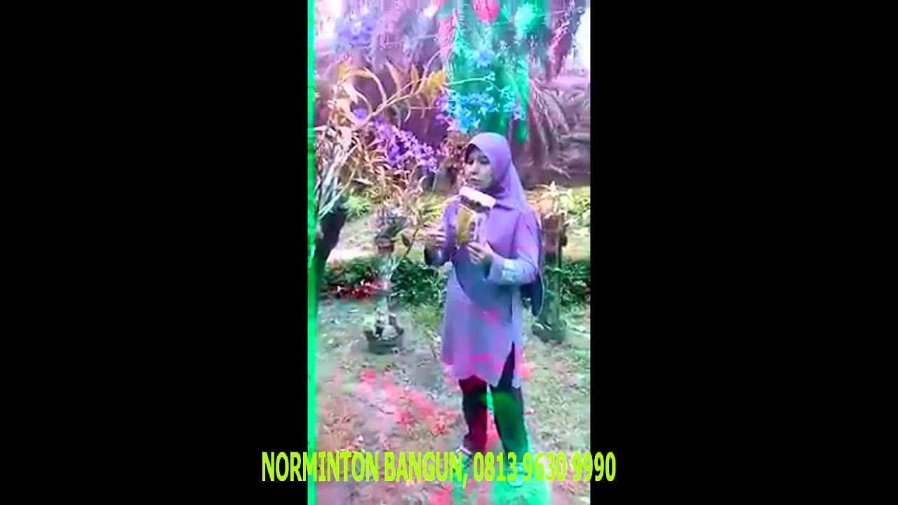 Screenshot - HD Wallpaper 