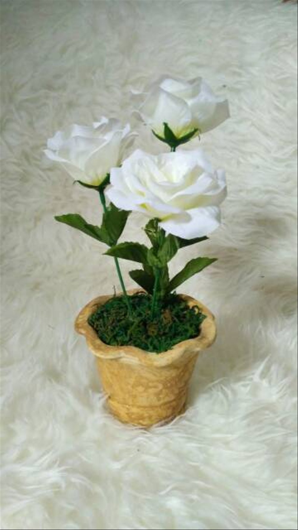 Mawar Putih Wallpaper Bunga Mawar - HD Wallpaper 