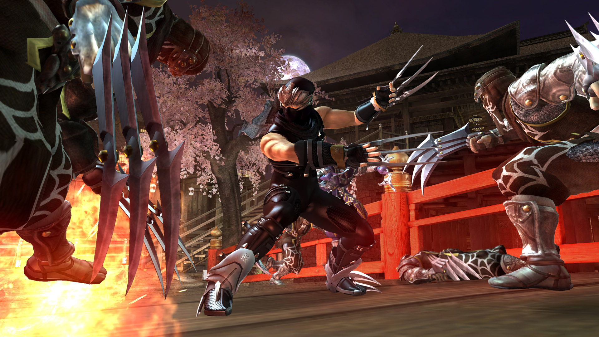 Ninja Gaiden 2 Ninjas - HD Wallpaper 