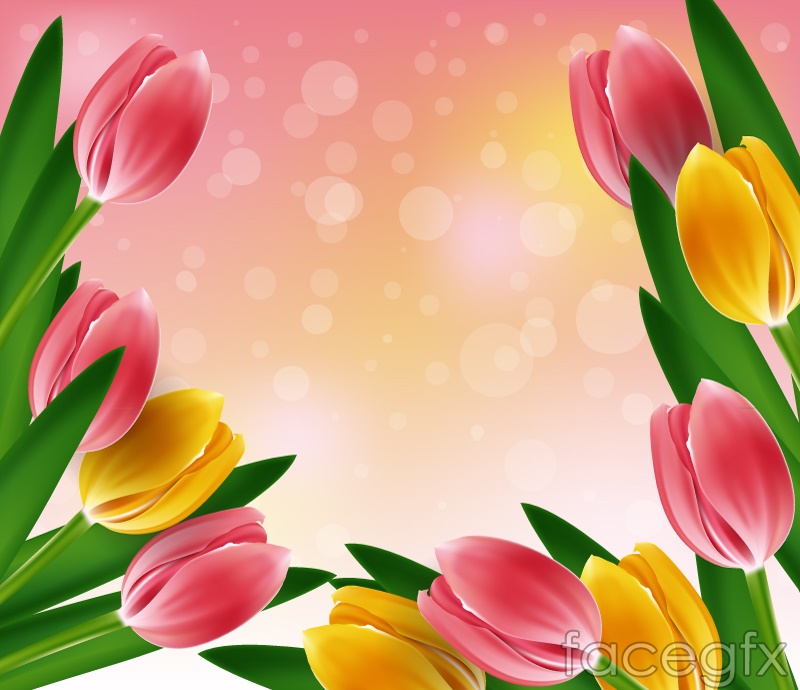 Thumb Image - Tulips Flower Border Design - HD Wallpaper 