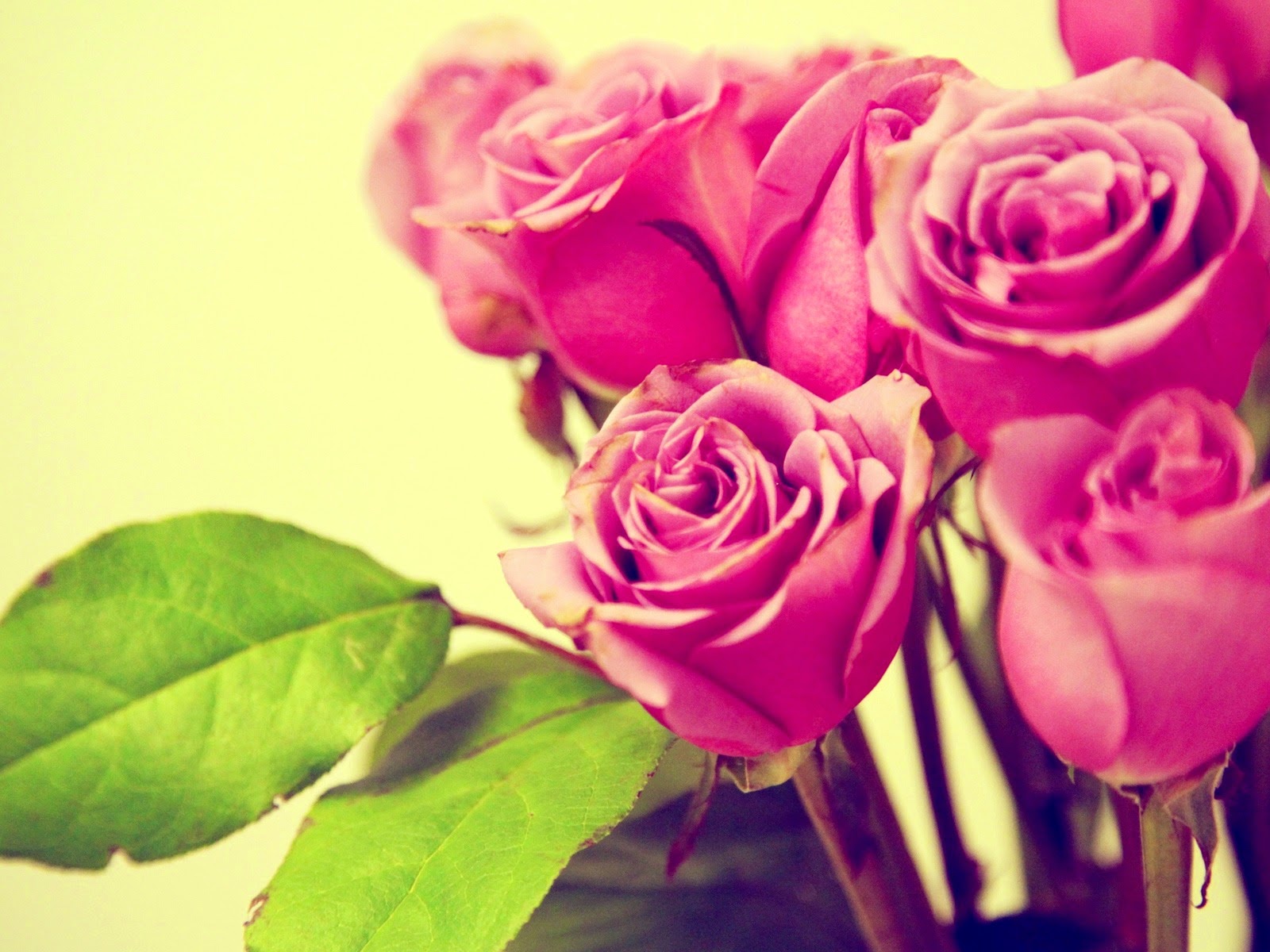 Retro Pink - HD Wallpaper 