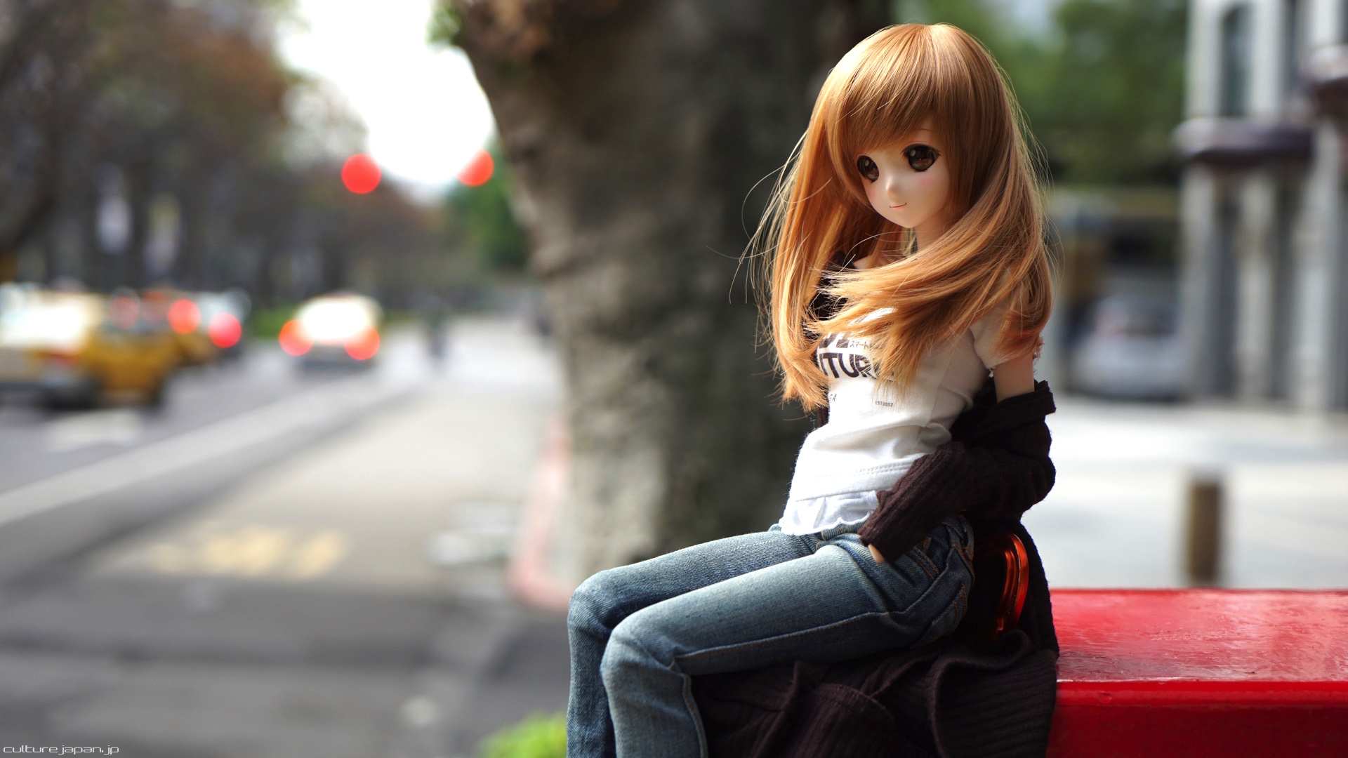 Image 7 15 For Smart Doll - Boneka Lucu Imut Dan Cantik - HD Wallpaper 
