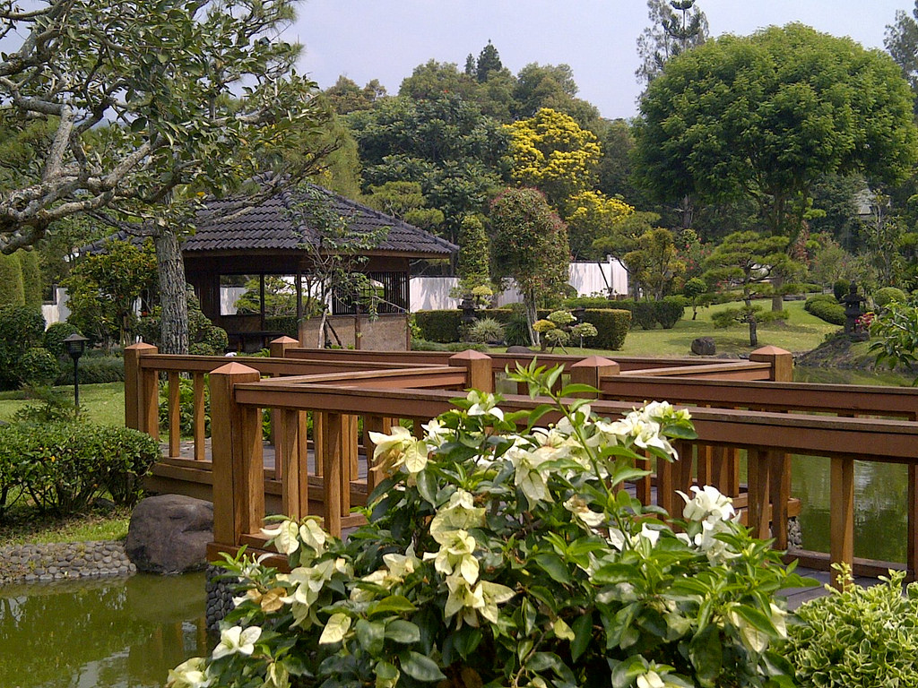 Hotel Dekat Taman Bunga Nusantara - HD Wallpaper 