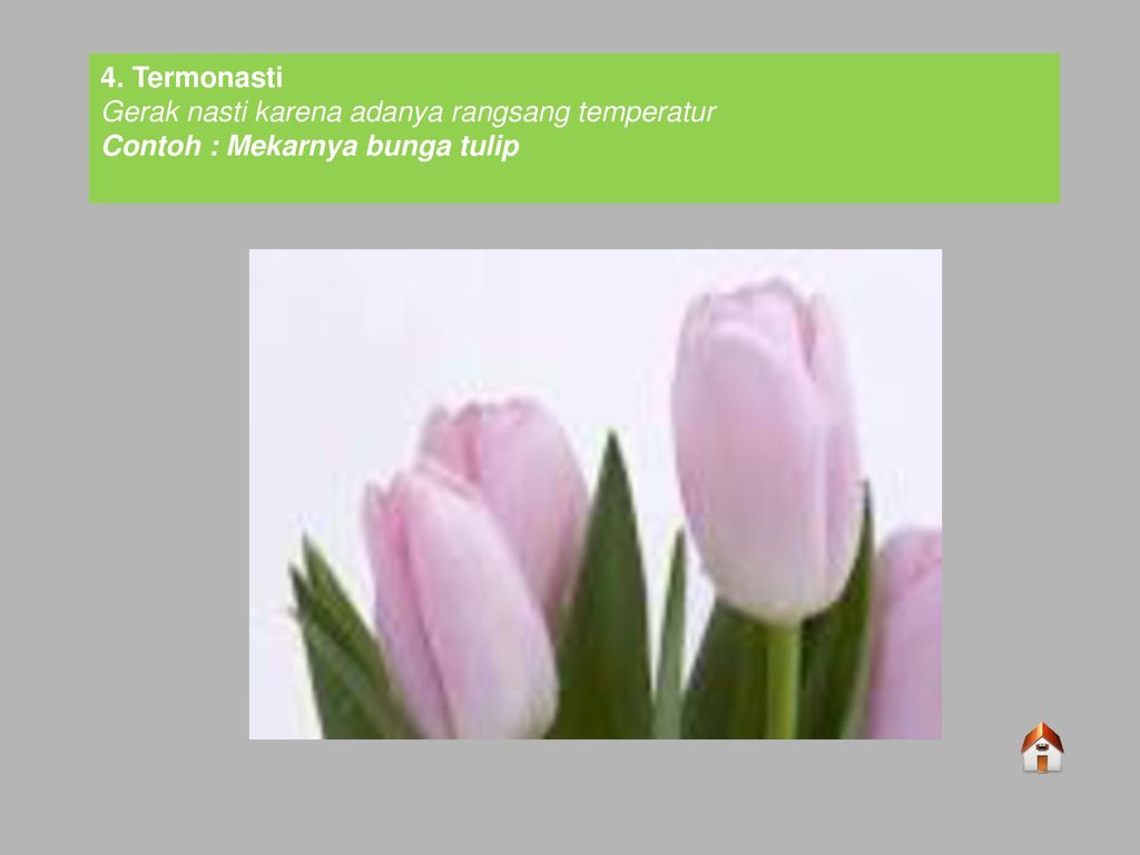 Good Morning Have Wonderful Day - HD Wallpaper 