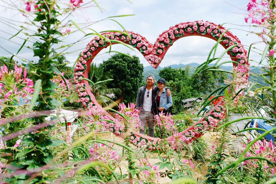 Botanical Garden - HD Wallpaper 