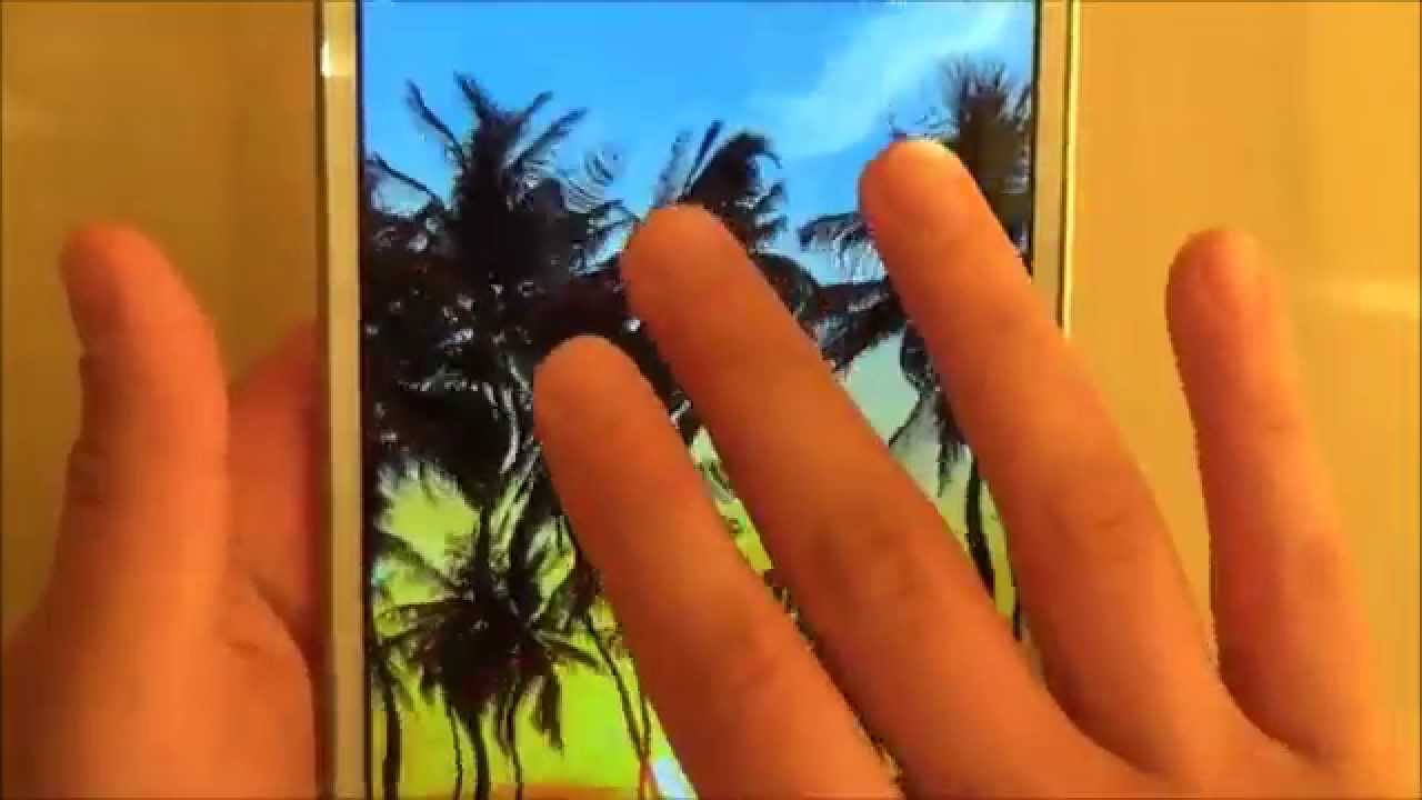 Palm Tree - HD Wallpaper 