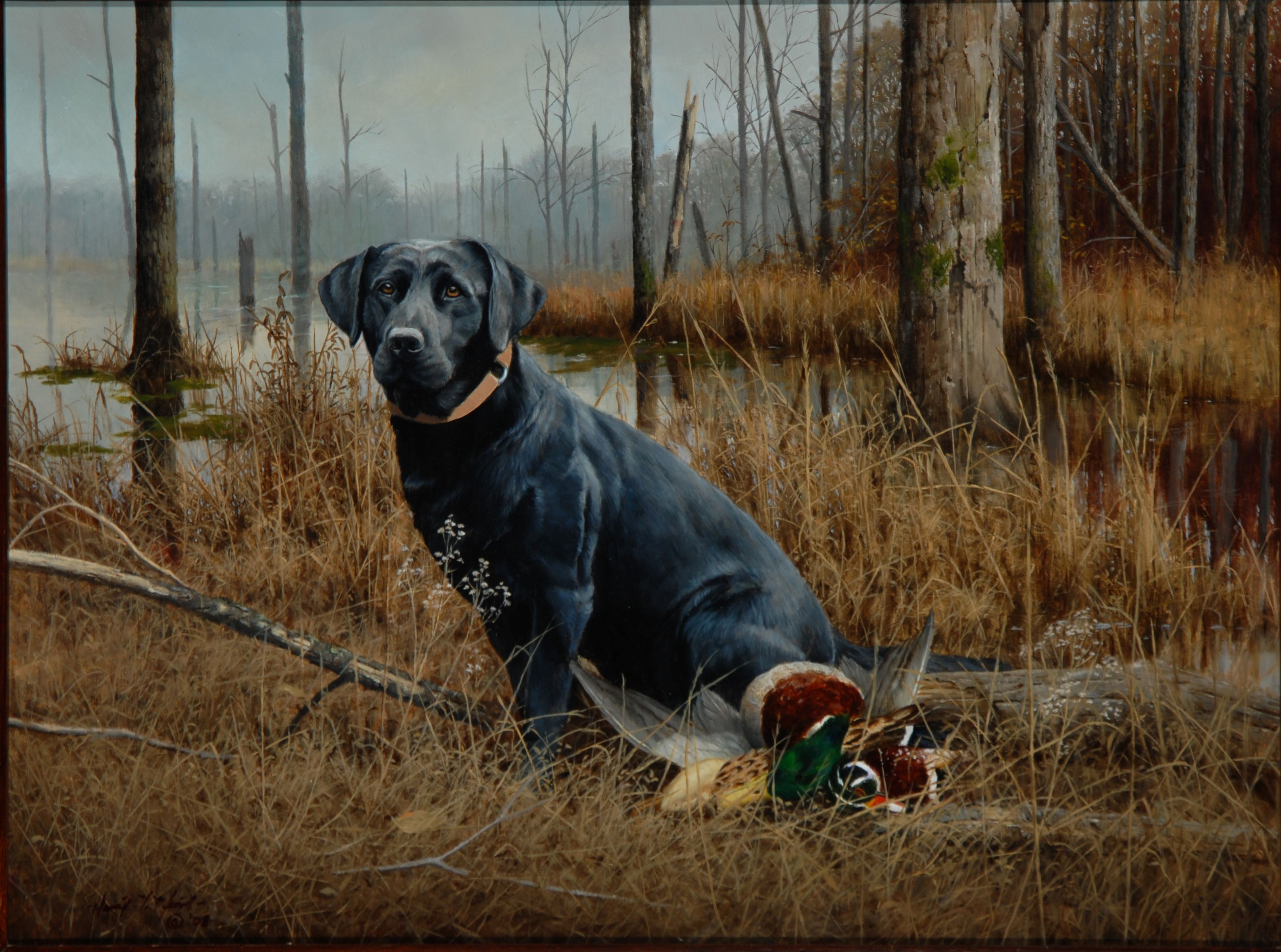 Unlimited Desktop Wallpaper-73rfac9 - Ducks Unlimited Black Lab - HD Wallpaper 