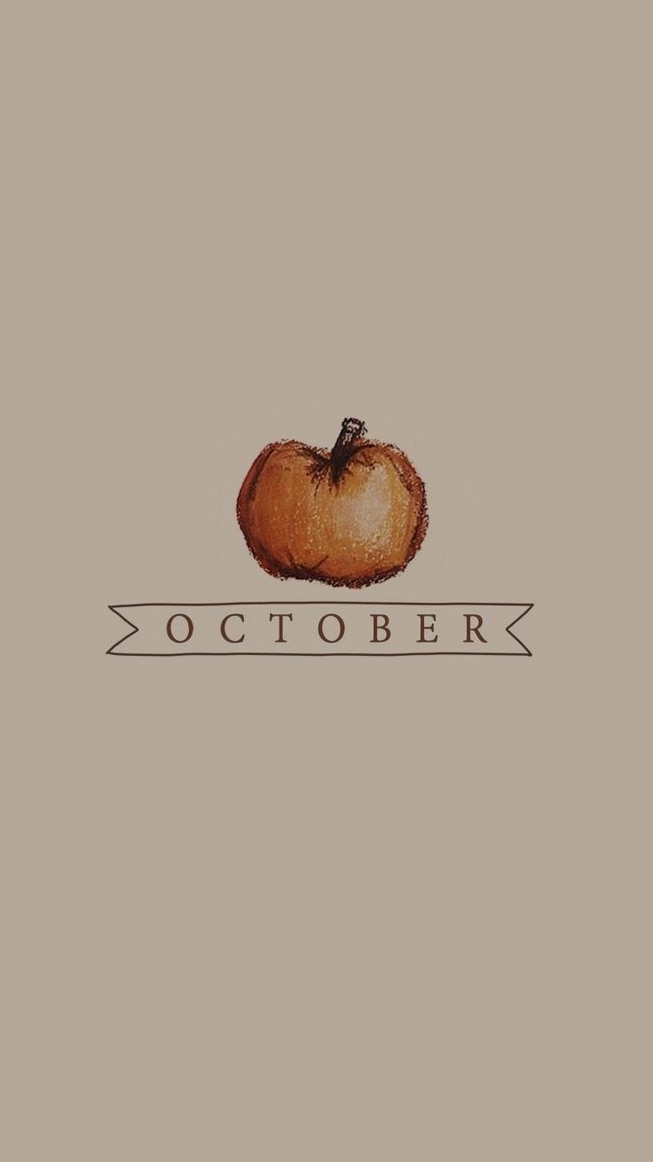 Calabaza - HD Wallpaper 