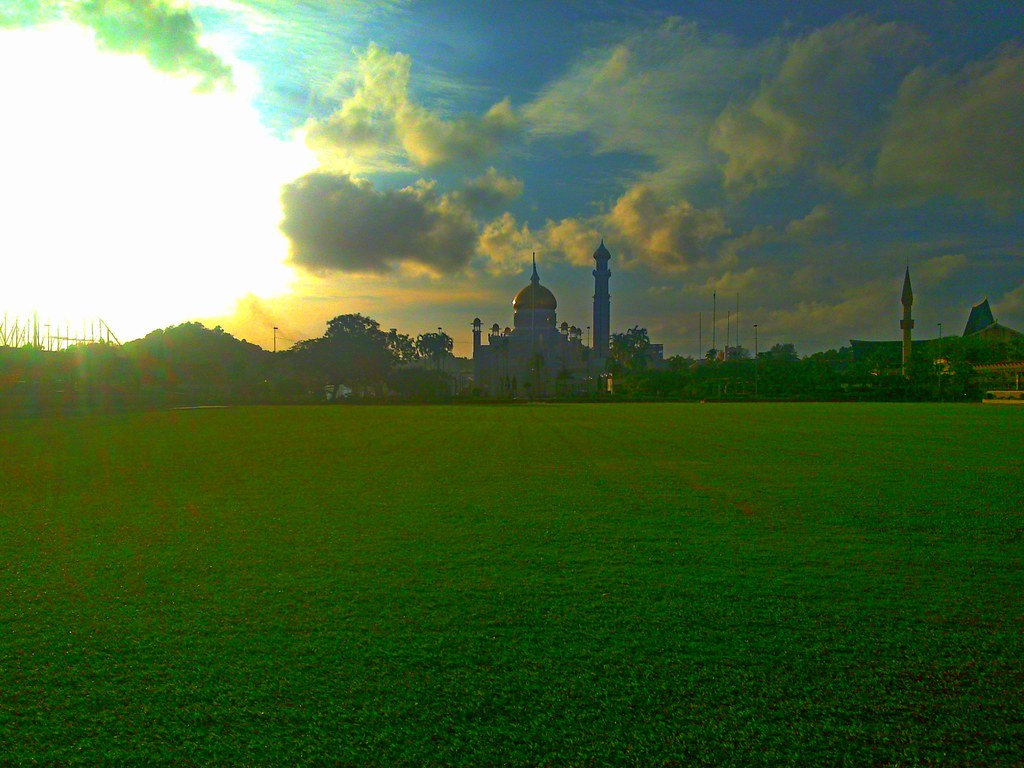 Grass - HD Wallpaper 