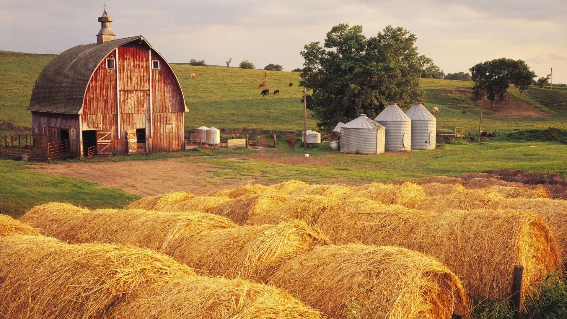 1920x1080, Hd Wallpaper - George And Lennie Farm - HD Wallpaper 