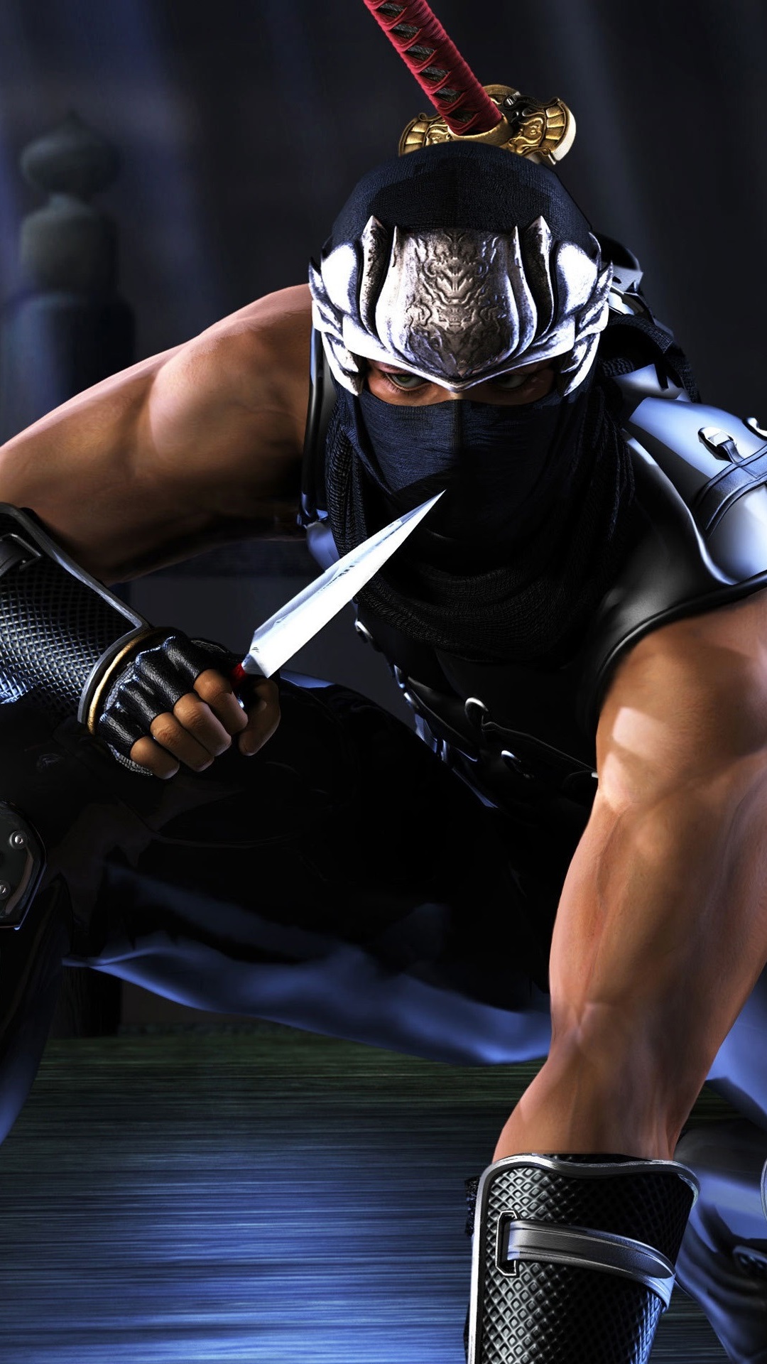 Iphone Wallpaper Ninja Gaiden, Knife, Night - Ninja Gaiden - HD Wallpaper 