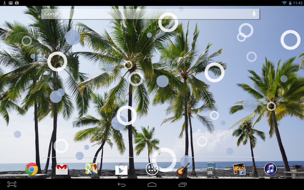 Beach Palms Live Wallpaper - Flat Panel Display - HD Wallpaper 