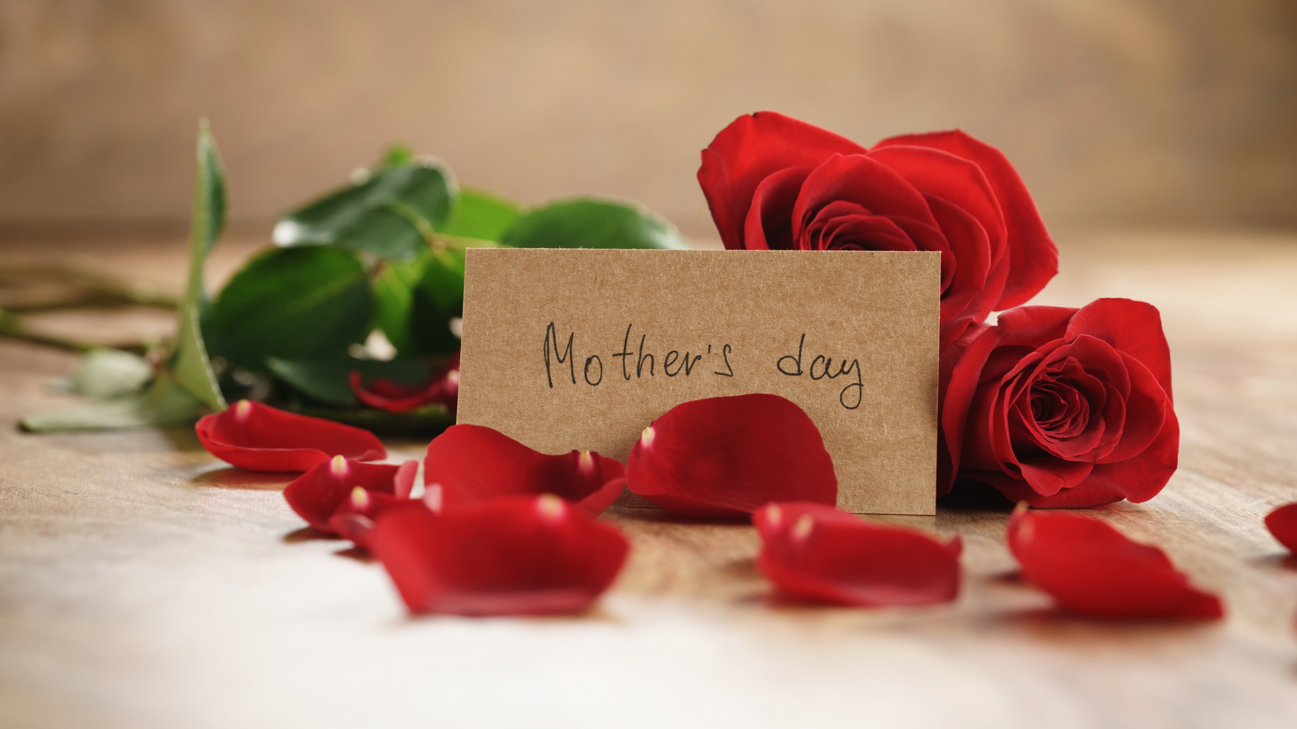 Happy Mothers Day Red Rose - HD Wallpaper 