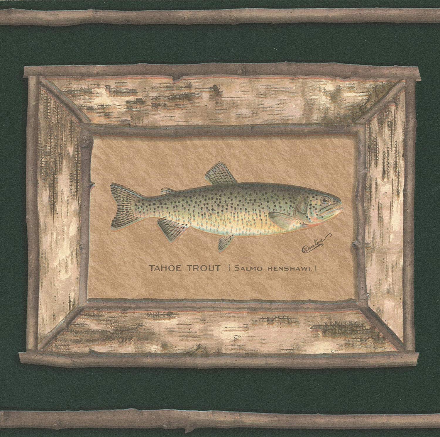 Trout - 1500x1490 Wallpaper - teahub.io