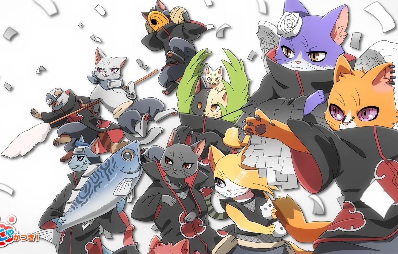 Photo Wallpaper Cats, Attack, Fish, Parody, Naruto, - Akatsuki Cat - HD Wallpaper 