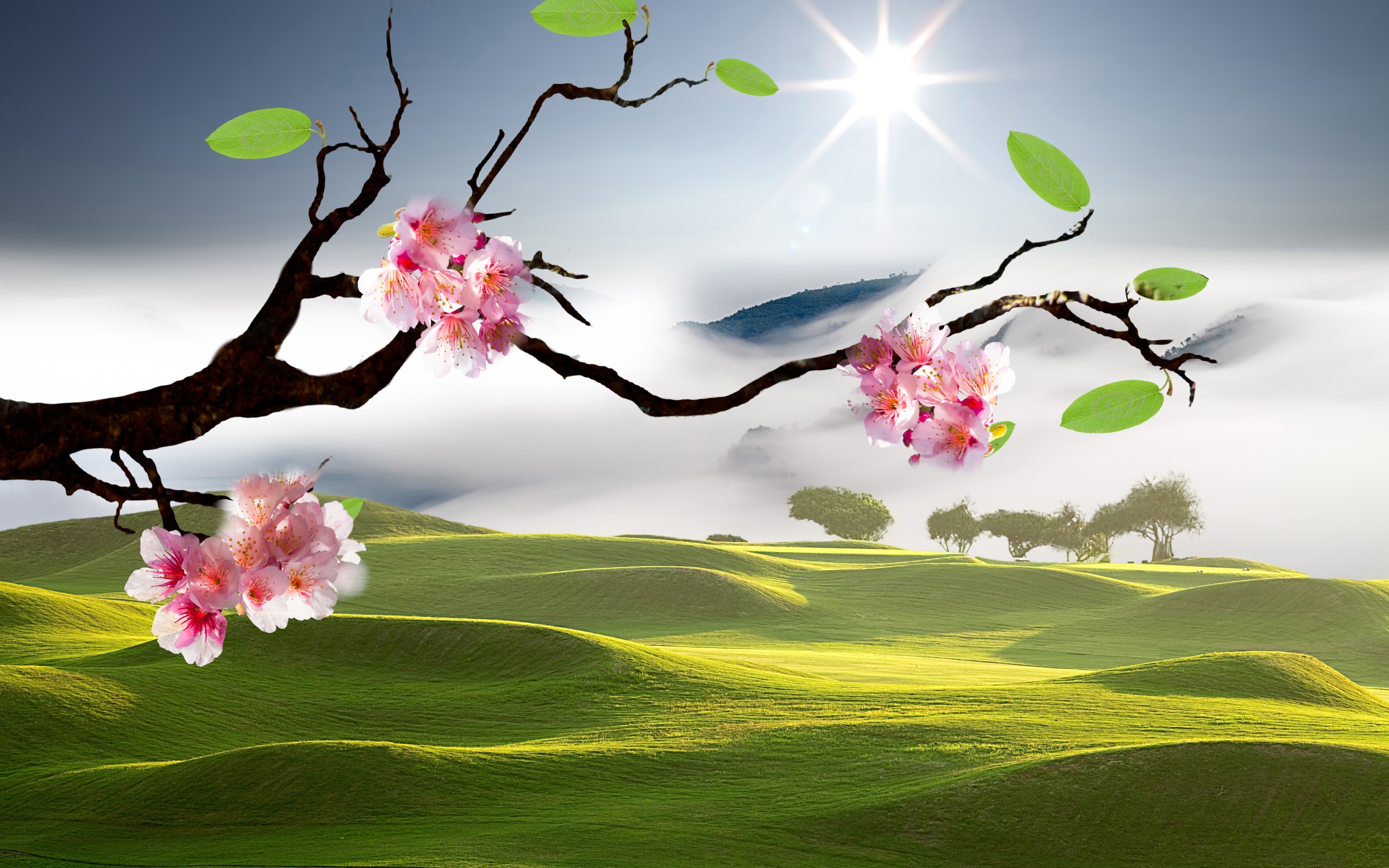 Wallpaper Of Sakura, Eastern Landscapes Background - 3д Сакура Обої - HD Wallpaper 