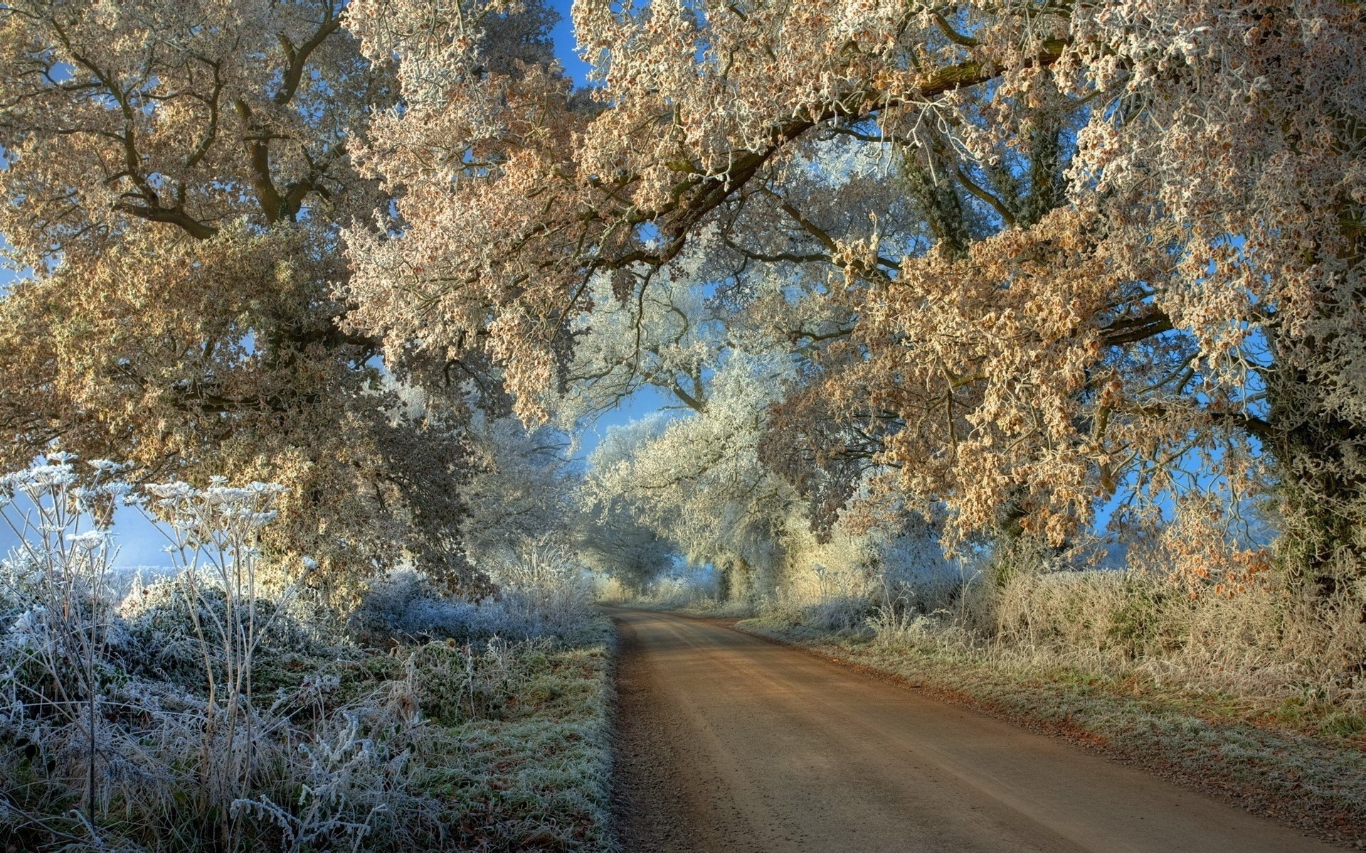 Amazin Frosty Road In The Countryside Wallpaper 
 Data - Proverbs 18 20 Bible Verses - HD Wallpaper 
